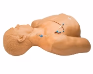 Ultrasound Models Image