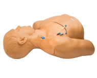 Ultrasound Models Image