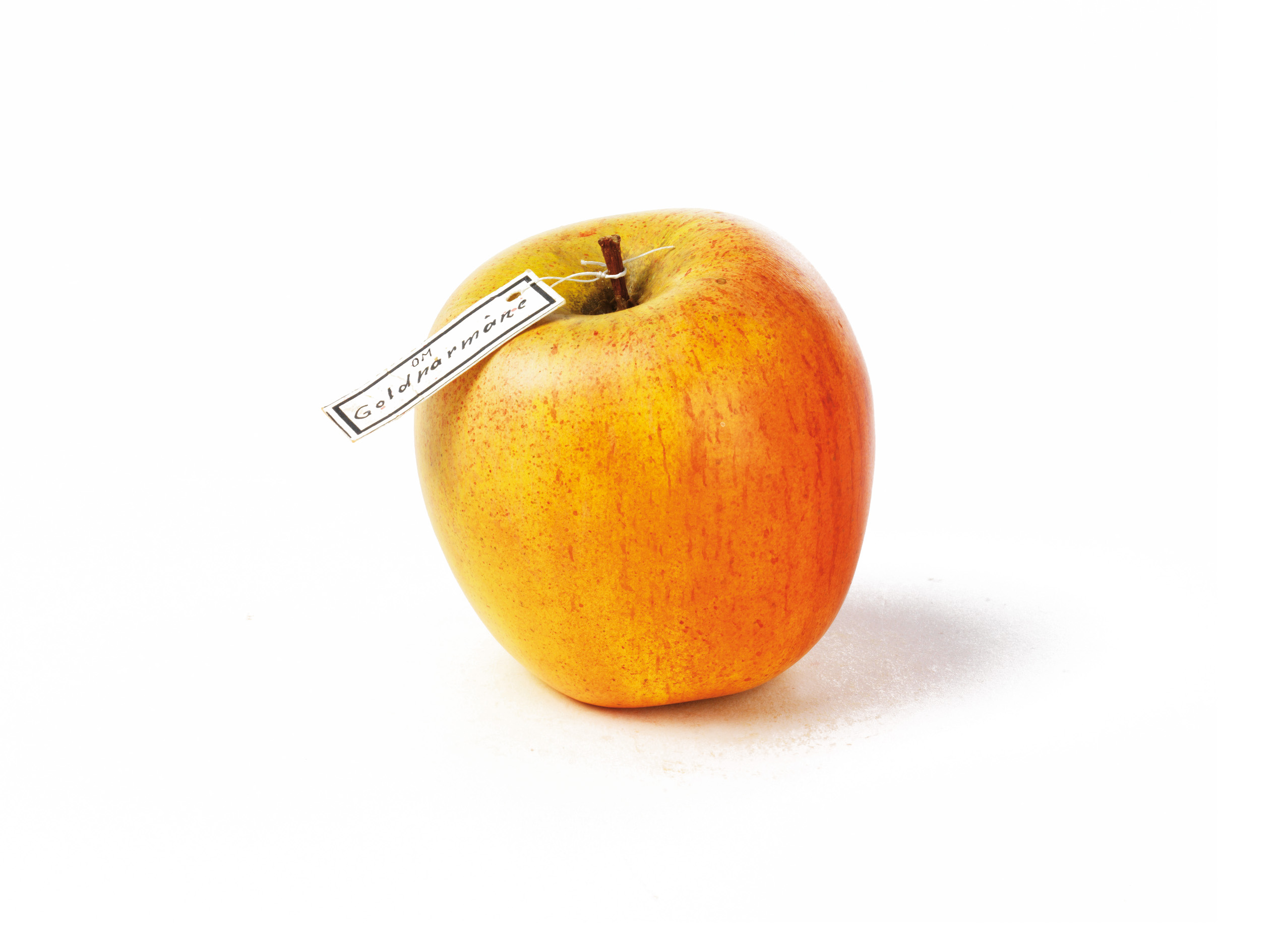 King of the Pippins