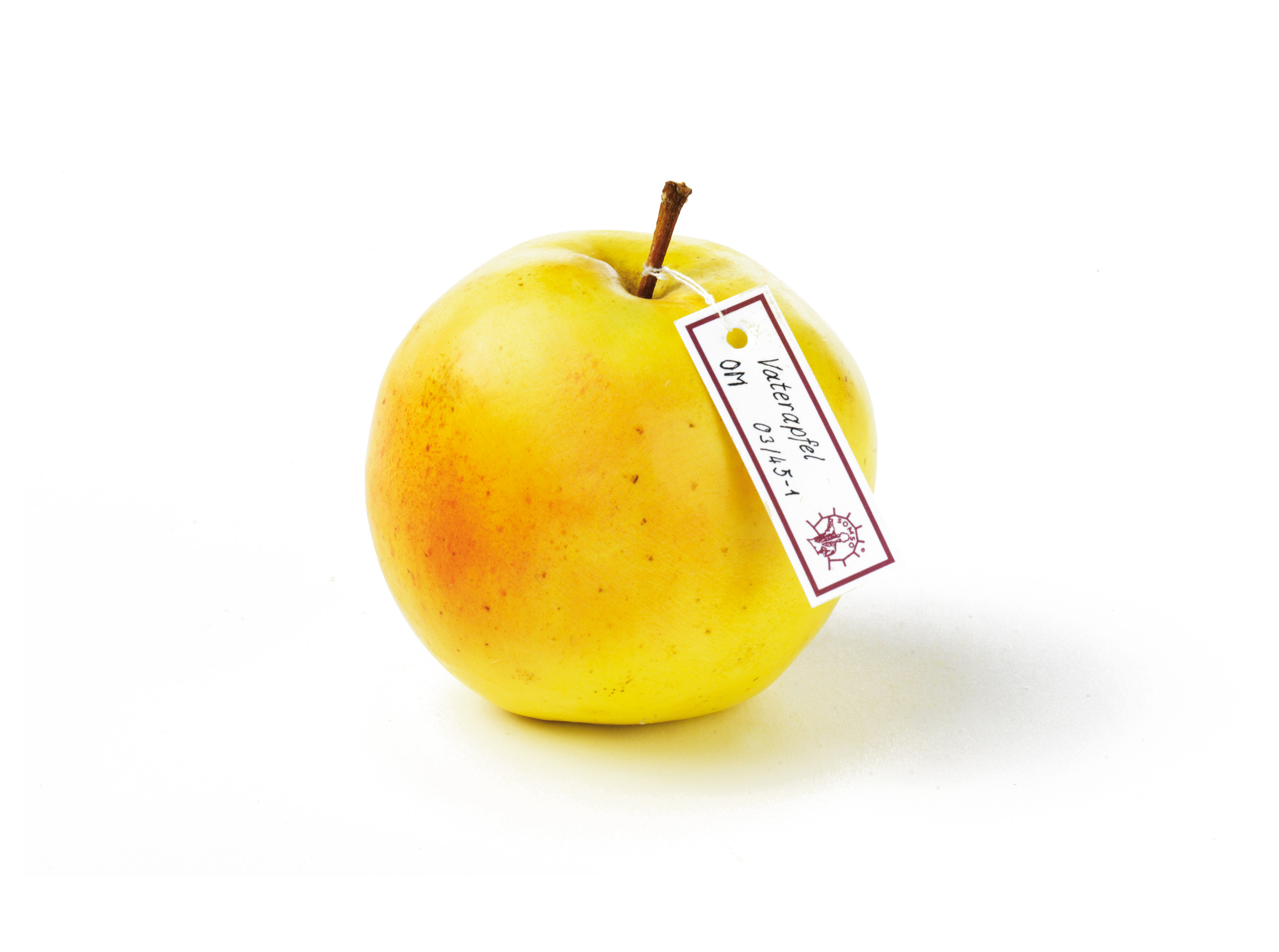 Vaterapfel With Thick Stem