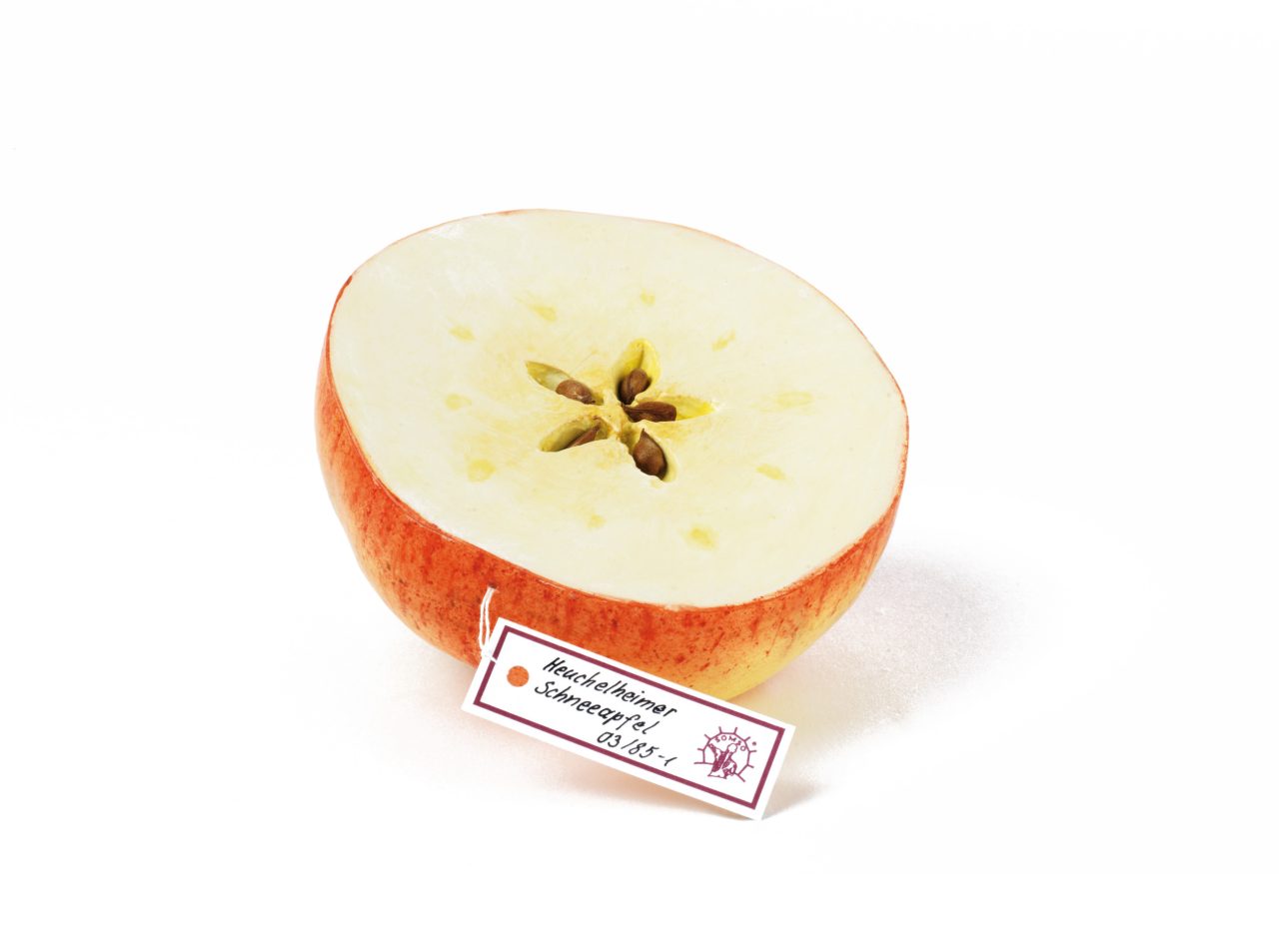 Heuchelheim Snow Apple – Stem Half