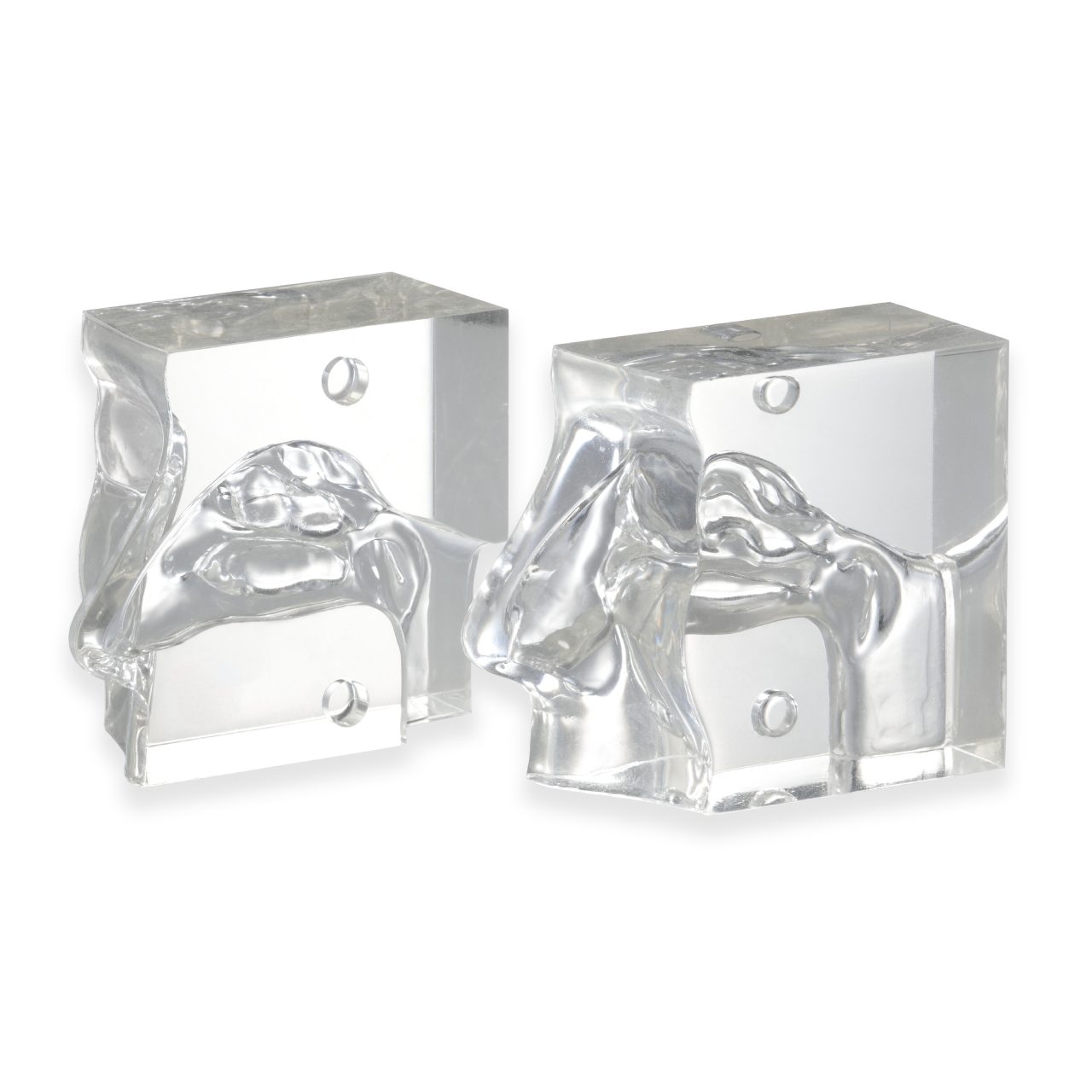 Transparent Nasal Cavity Model
