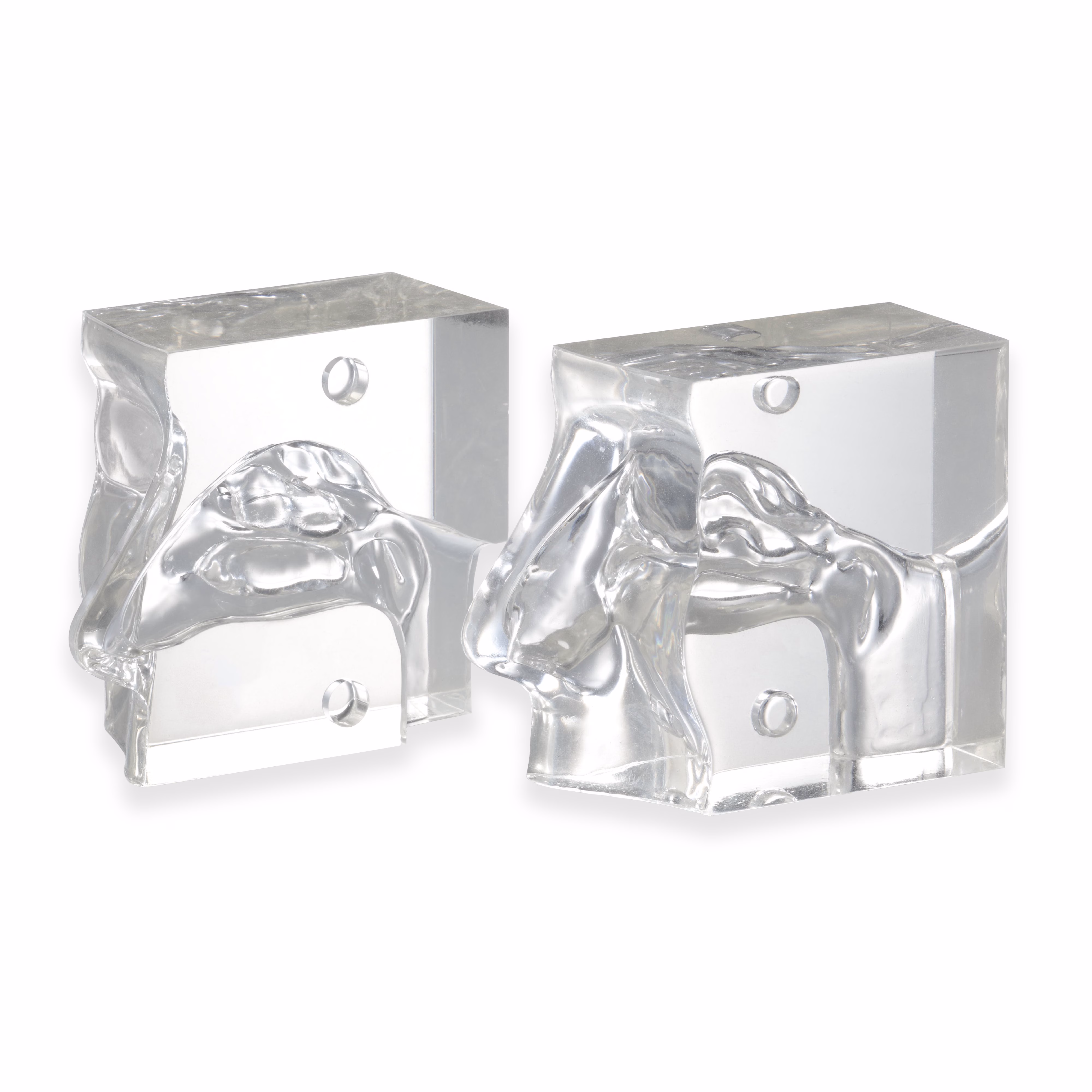 Transparent Nasal Cavity Model