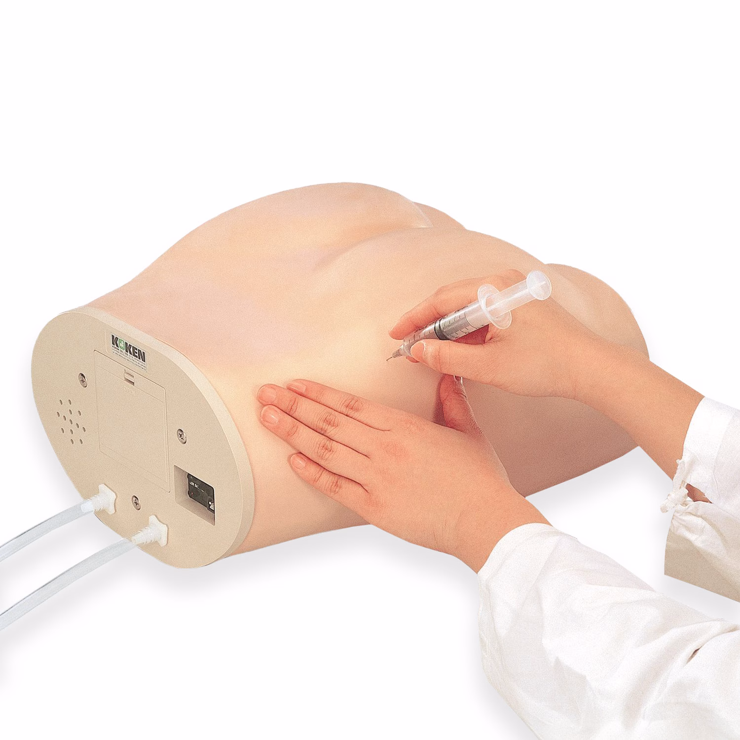 Dorsogluteal Intramuscular Injection Model