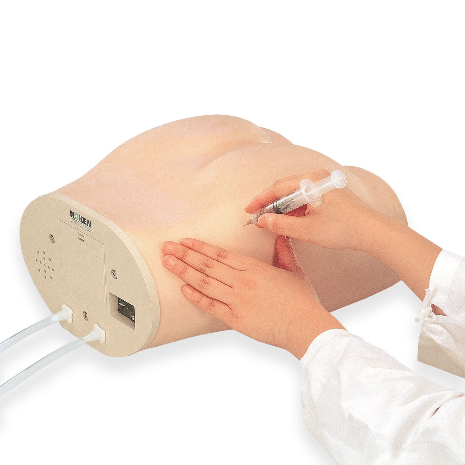 Dorsogluteal Intramuscular Injection Model
