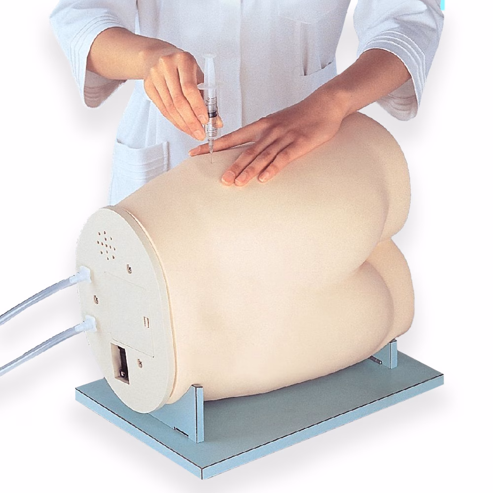 Ventrogluteal Intramuscular Injection Model