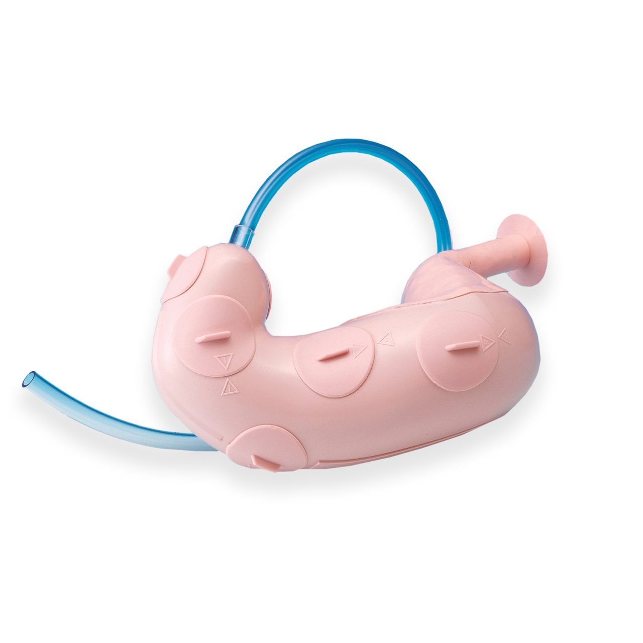 ESD - Endoscopic Submucosal Dissection Training Model