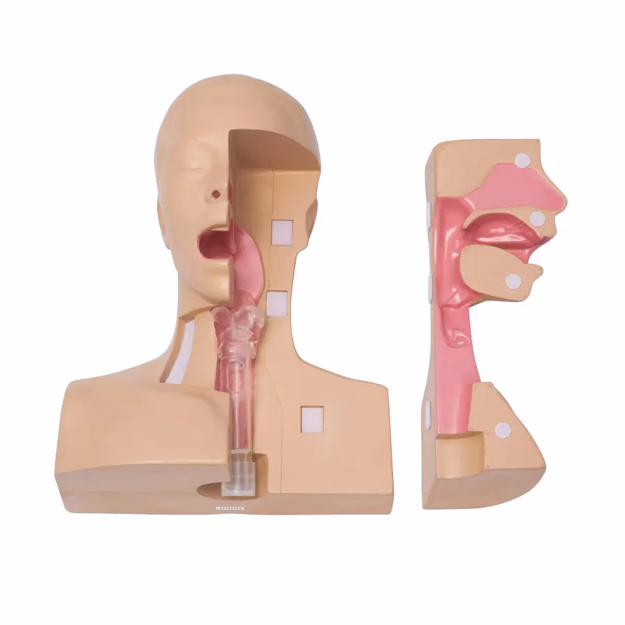 Tracheostomy Management Simulator