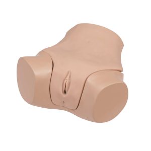 Gynaecological Examination Simulator