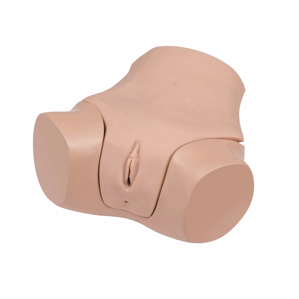 Gynaecological Examination Simulator