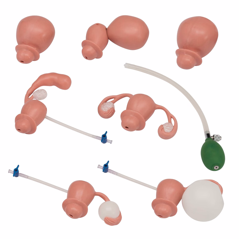 Gynaecological Examination Simulator