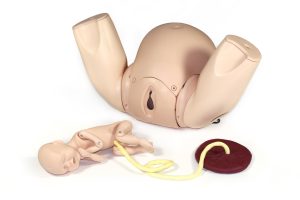 Prompt Flex Birthing Simulator - Standard, Light