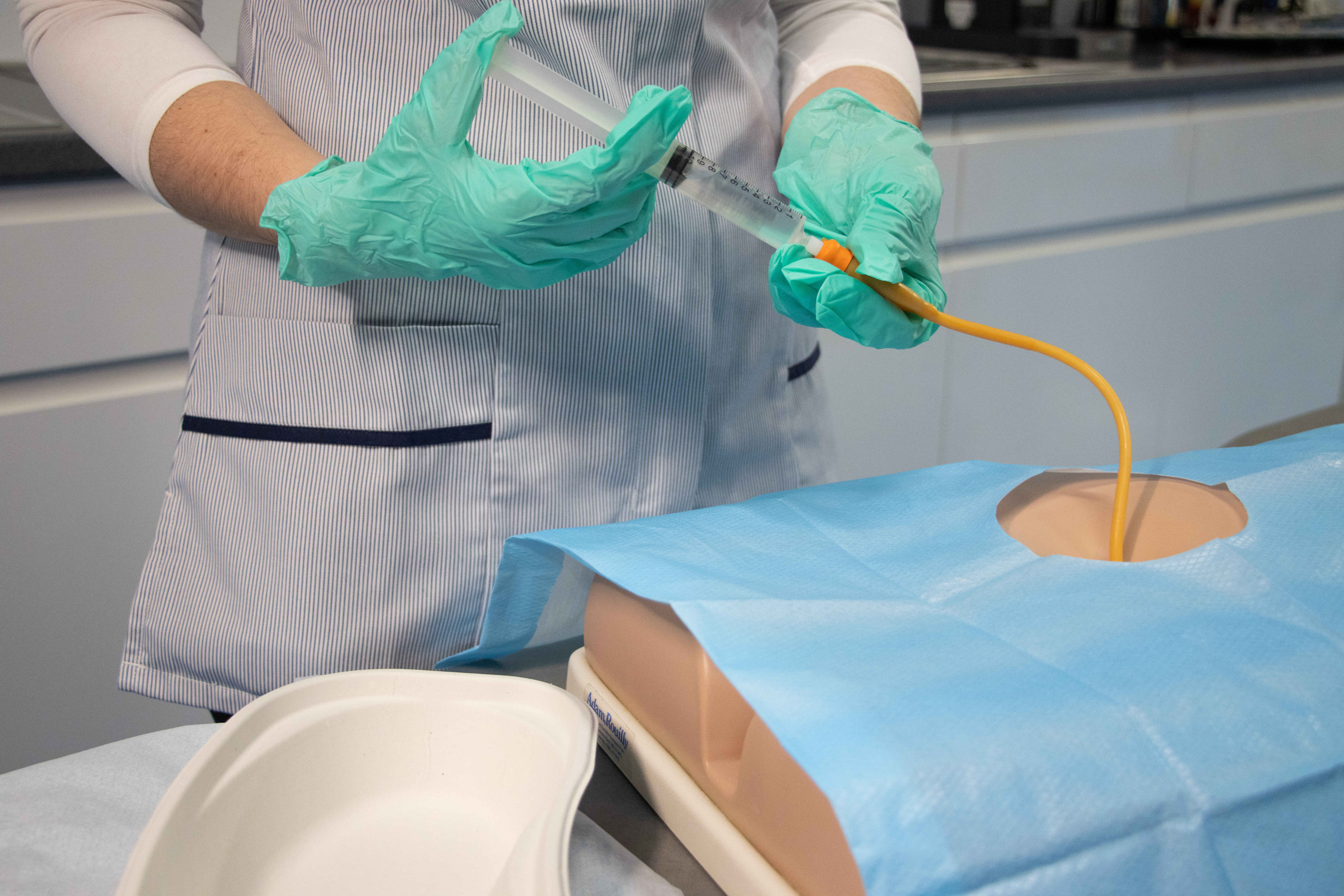 Suprapubic Training Model, Dark