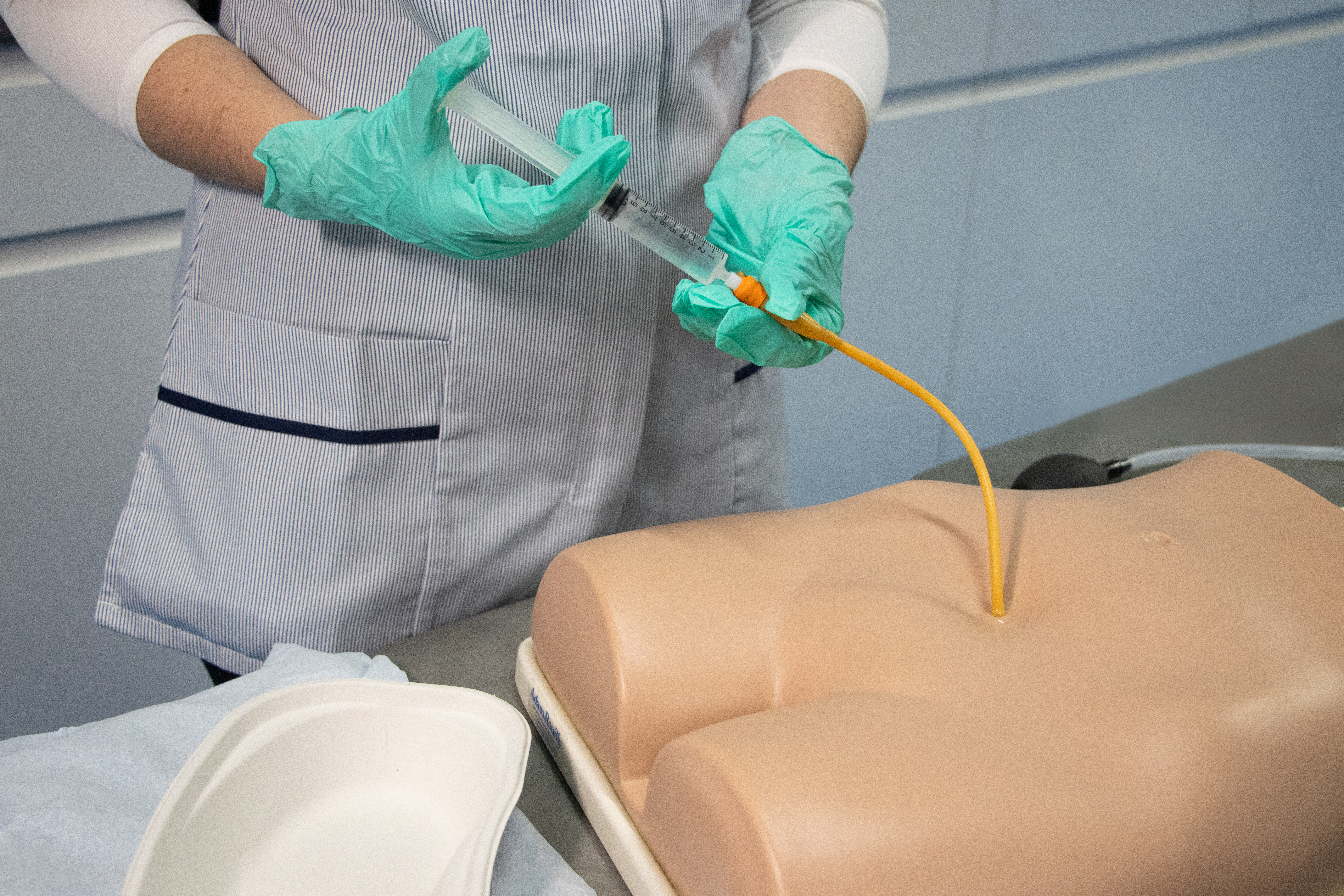 Suprapubic Training Model, Dark