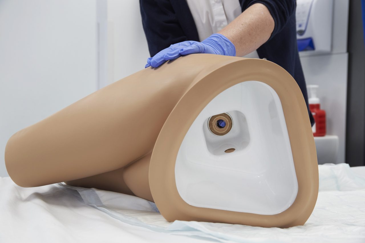 Rectal Examination, Stool Assessment and Enema Training Model, Light