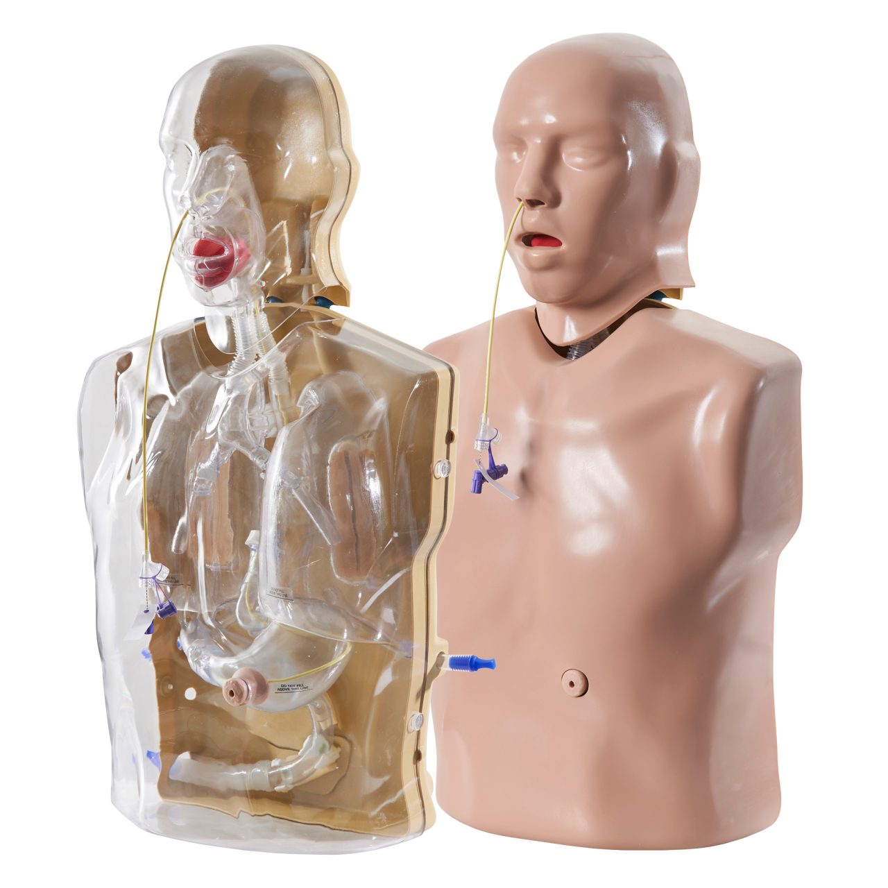 CorMan® - Adult Nasogastric/Nasojejunal Feeding Trainer, Light