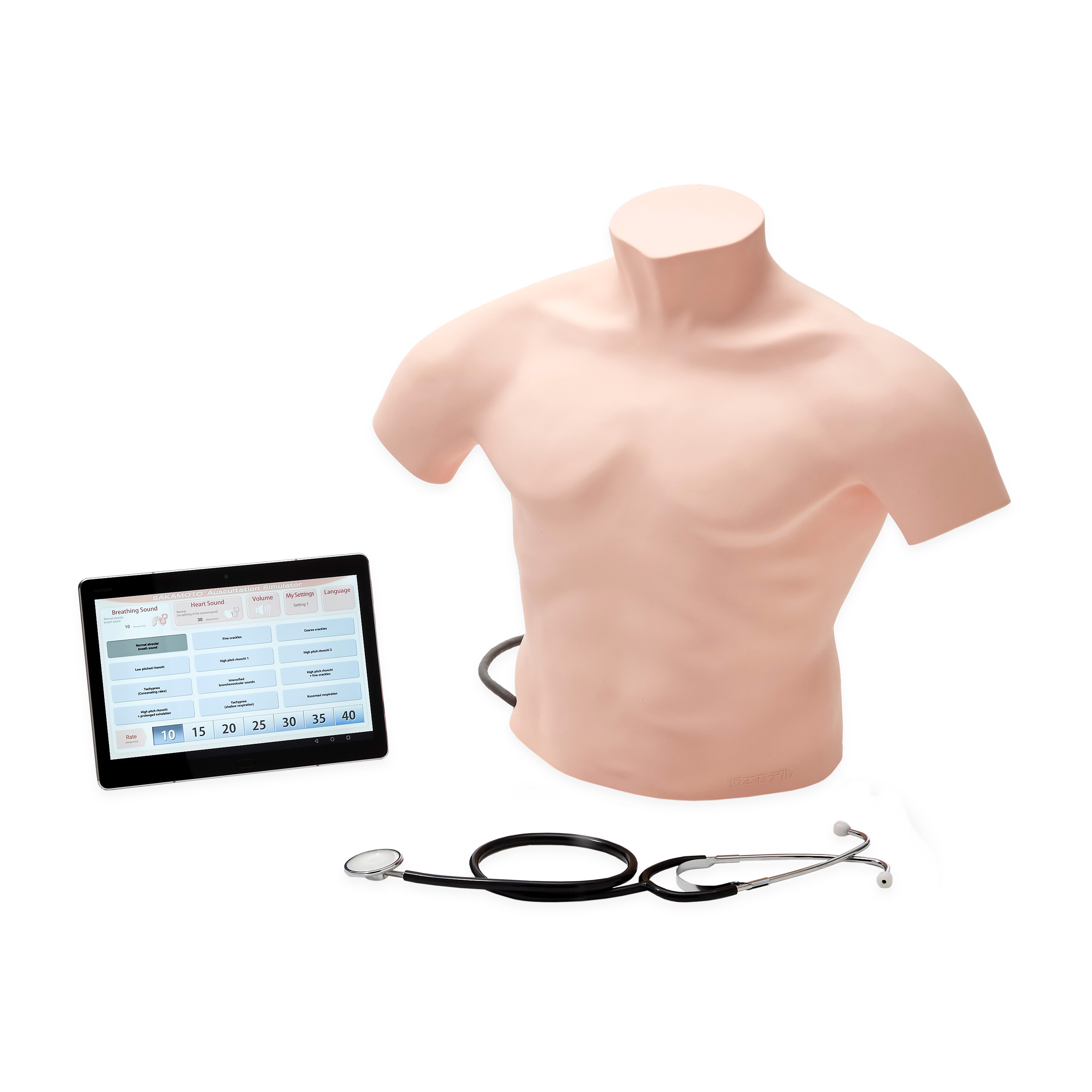 Sakamoto Auscultation Simulator, Light