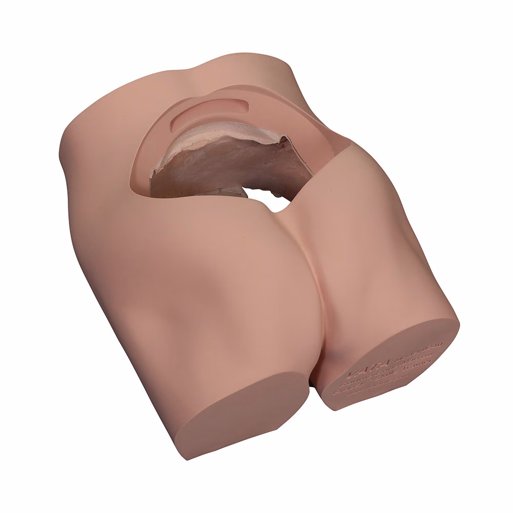 Body Skin Shell