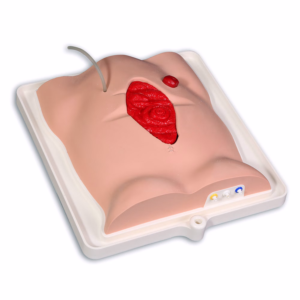 Freddie Fistula Skills Trainer, Light