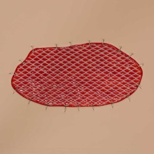 Skin Graft Wound Board, Light
