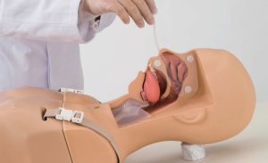 Suction Tube Feeding Simulator