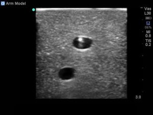Peripheral Doppler Ultrasound Training Model Package
