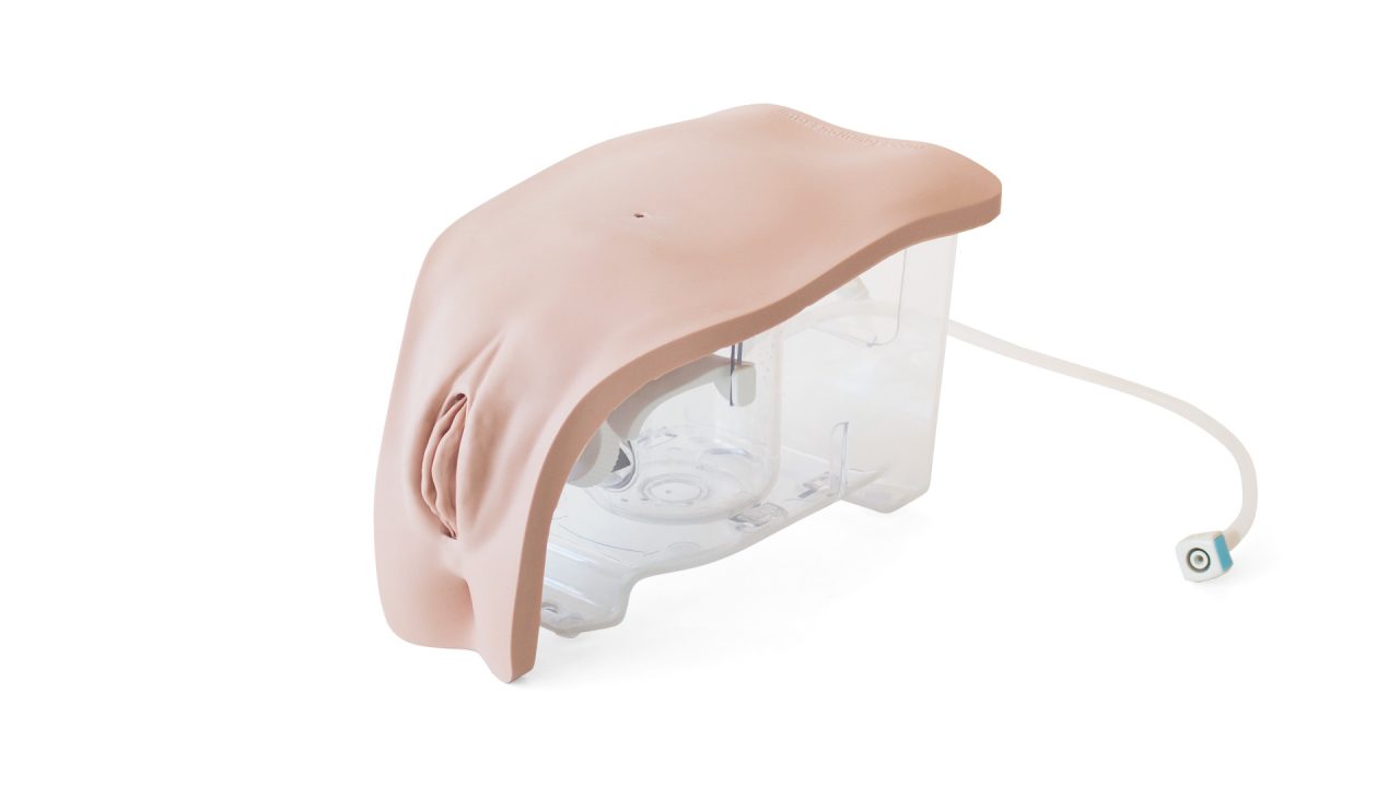 Female Catheterisation Module, Light
