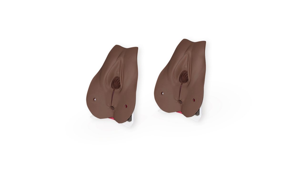 Anal Sphincter Repair Block (Pack of 2), Dark