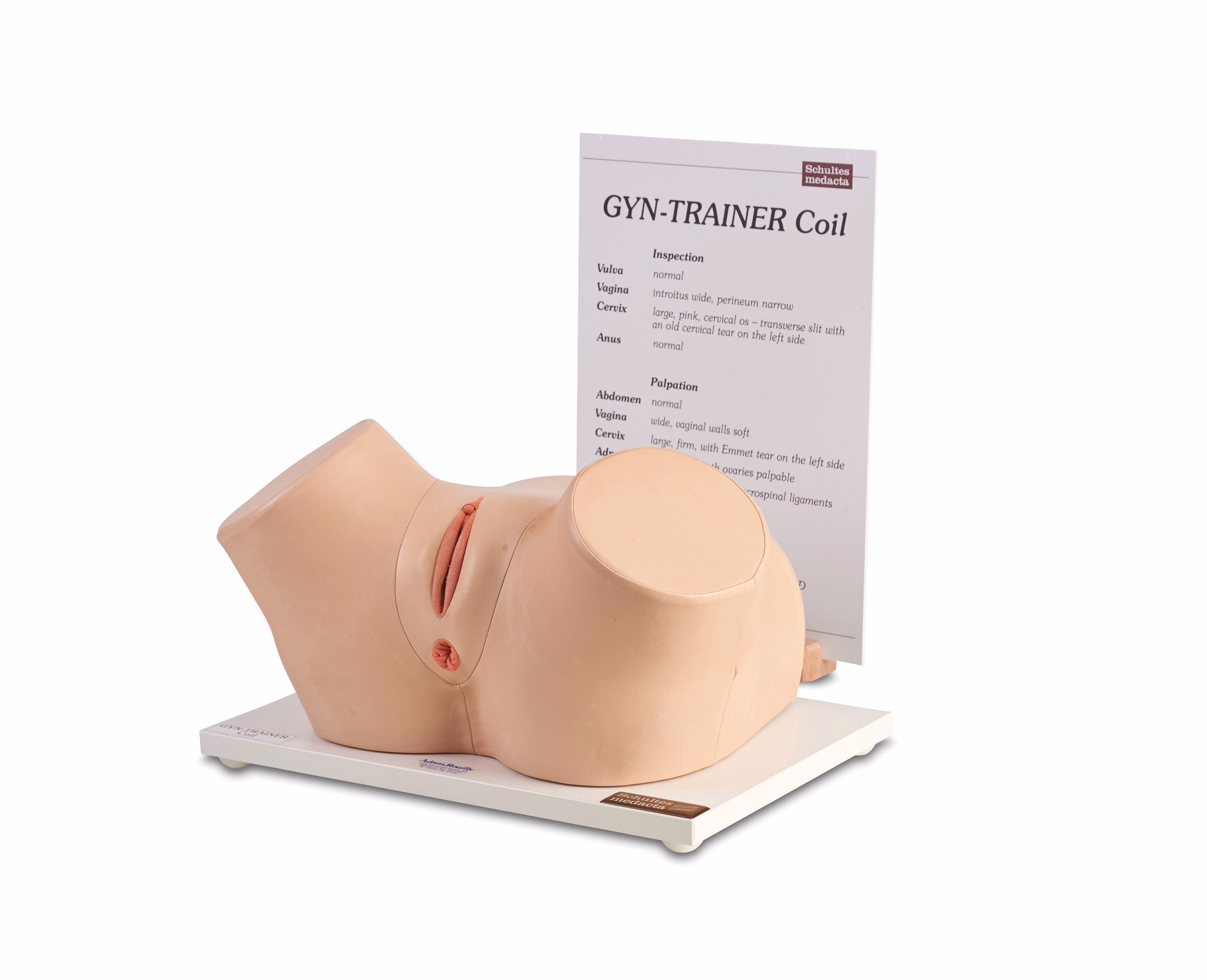 Schultes Gyn Trainer Coil