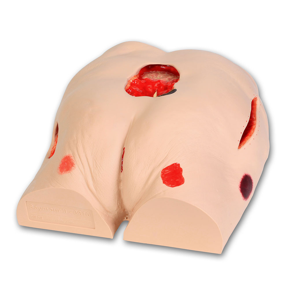 Seymour II Wound Care Model™ Package, Light