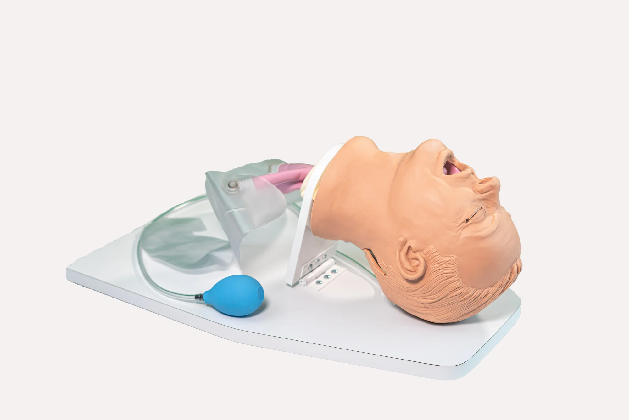 Airway Larry Trainer, Light