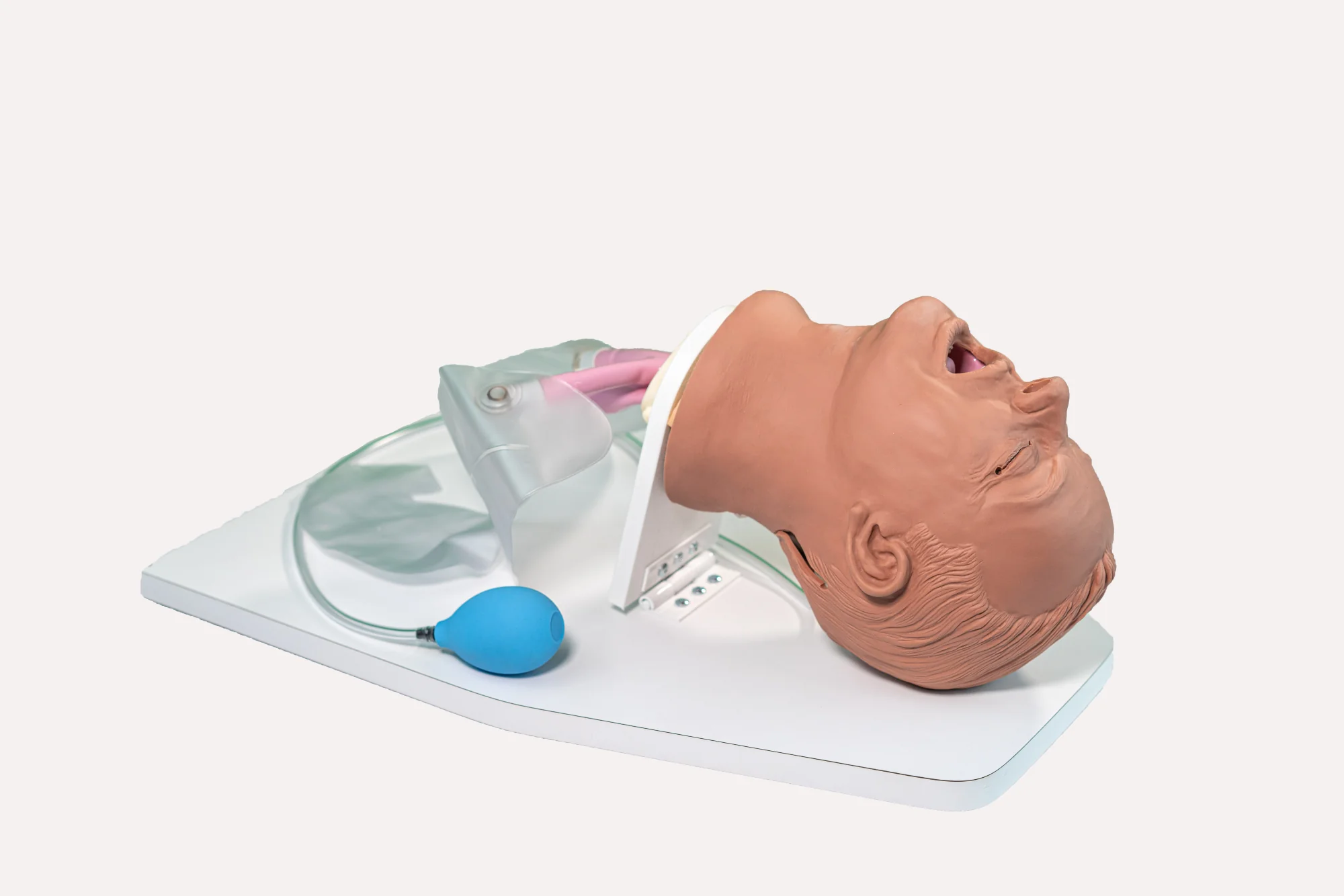 Airway Larry Trainer, Medium