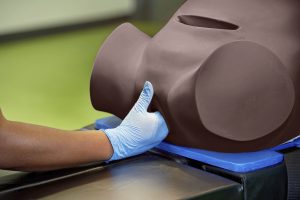 Debra Enhanced® - Impacted Fetal Head Simulator, Dark