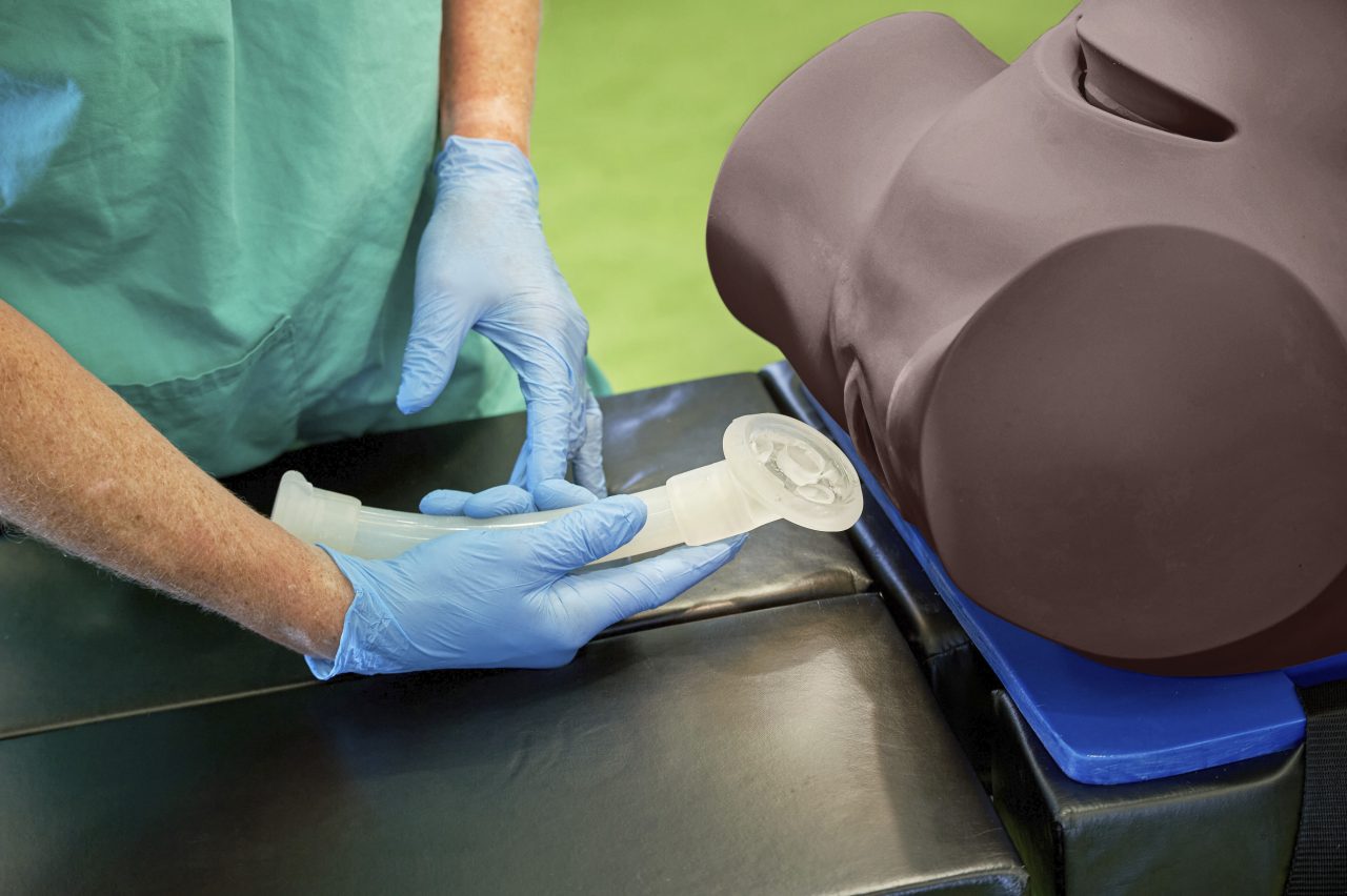 Debra Enhanced® - Impacted Fetal Head Simulator, Dark