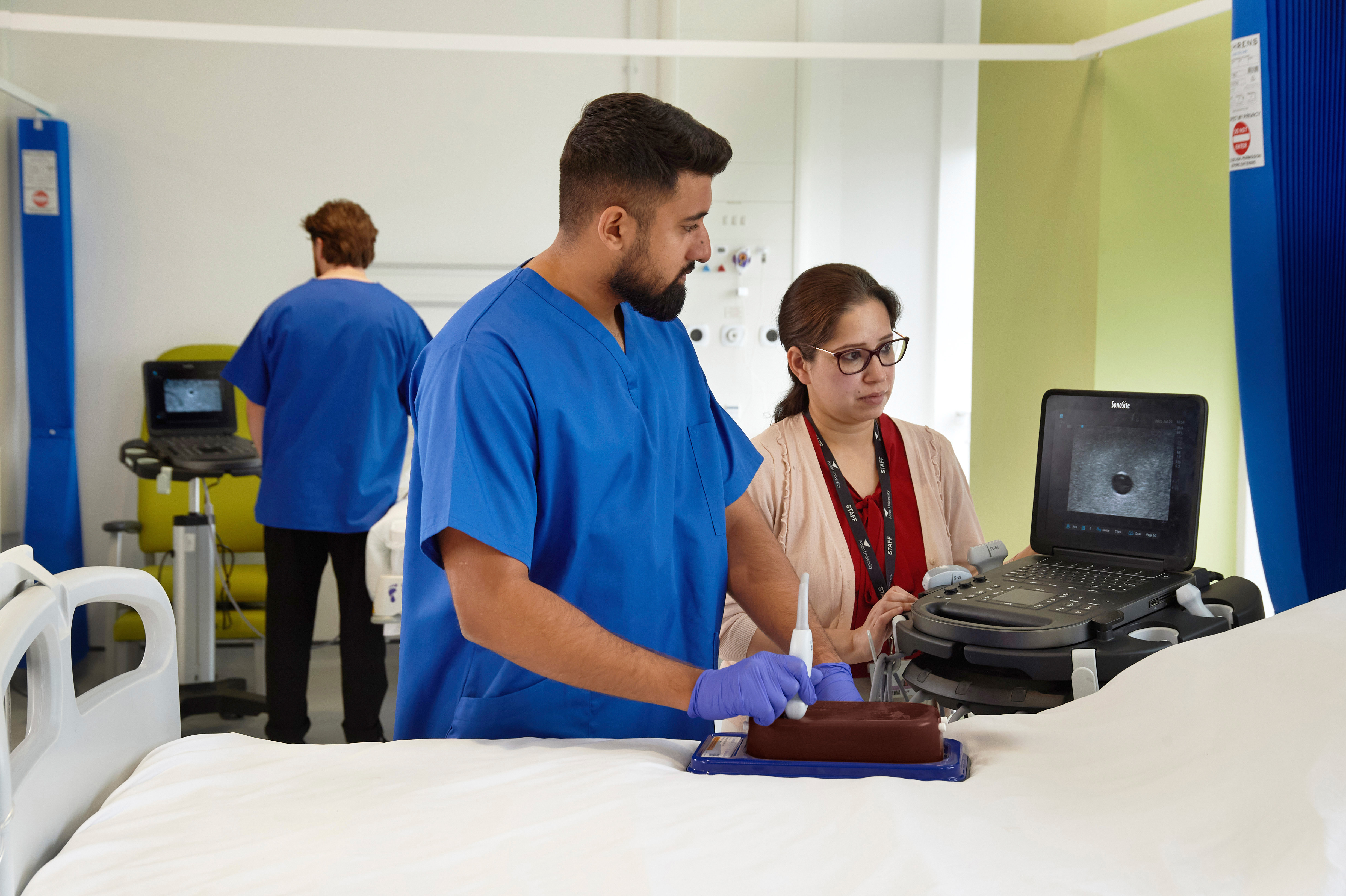 Ultrasound Simulator with 2 Branched Veins, Dark