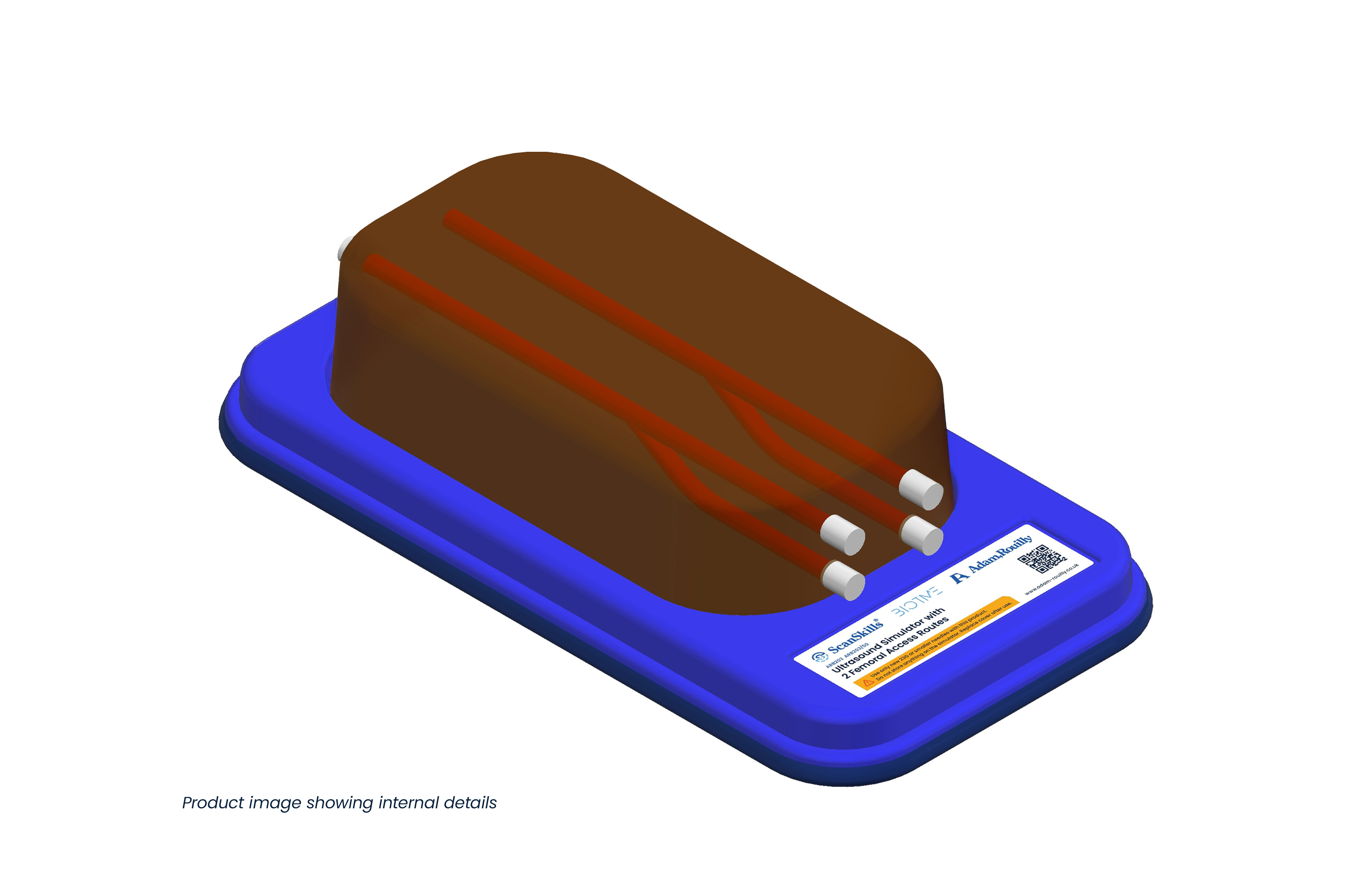 Ultrasound Simulator with 2 Femoral Access Routes, Dark