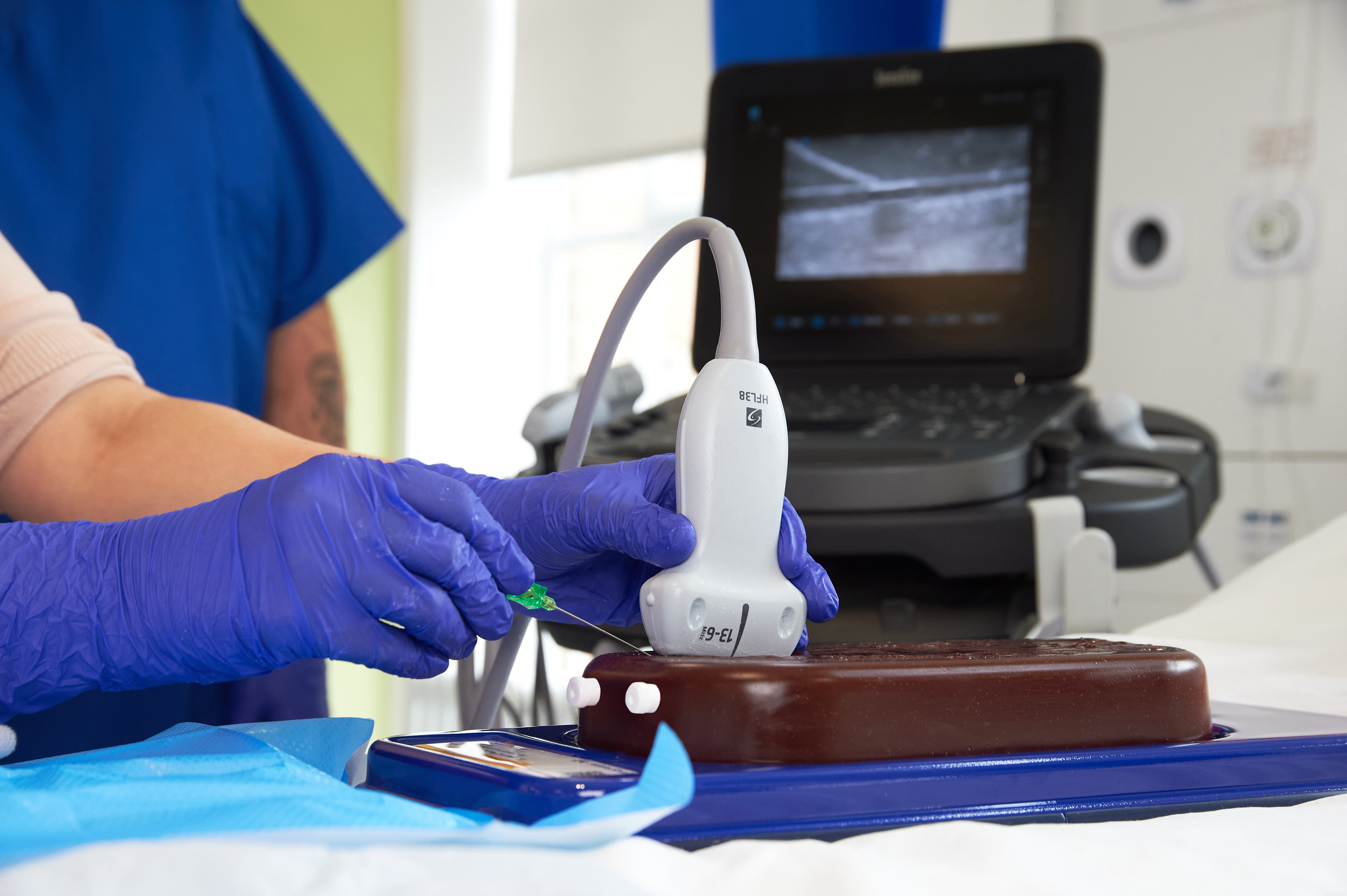 Ultrasound Simulator with 2 Femoral Access Routes, Dark