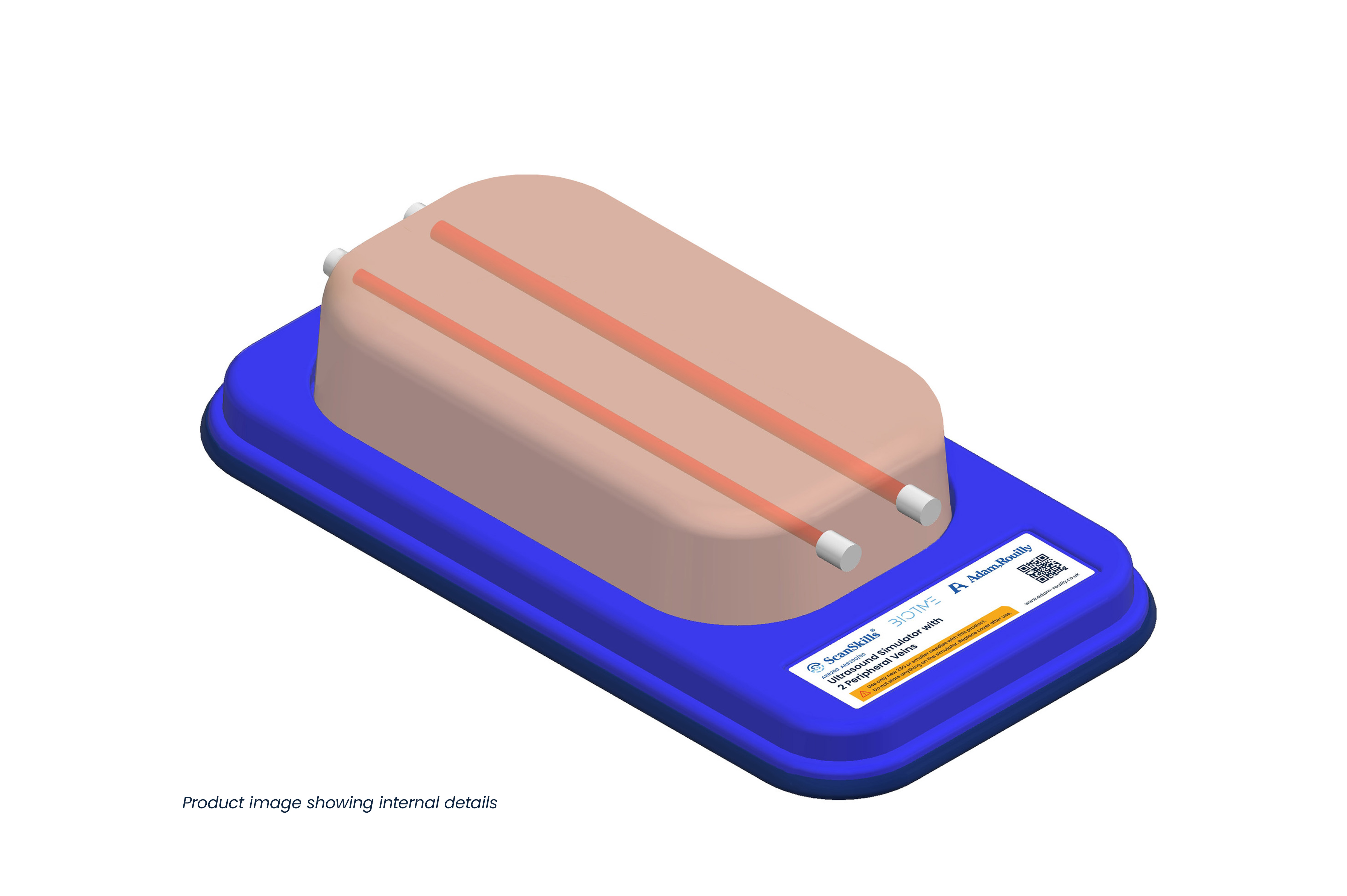 Ultrasound Simulator with 2 Peripheral Veins, Light