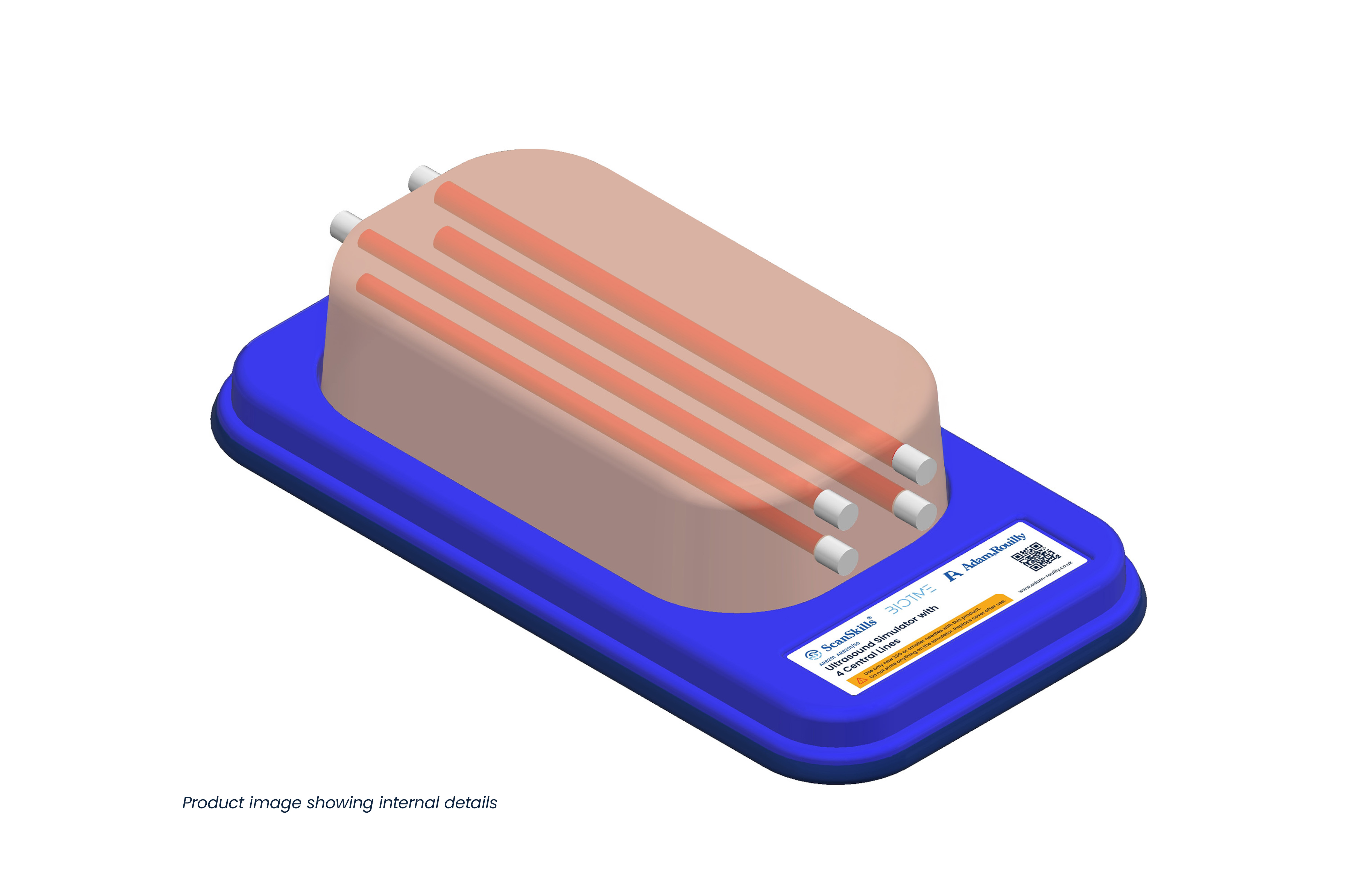 Ultrasound Simulator with 4 Central Lines, Light