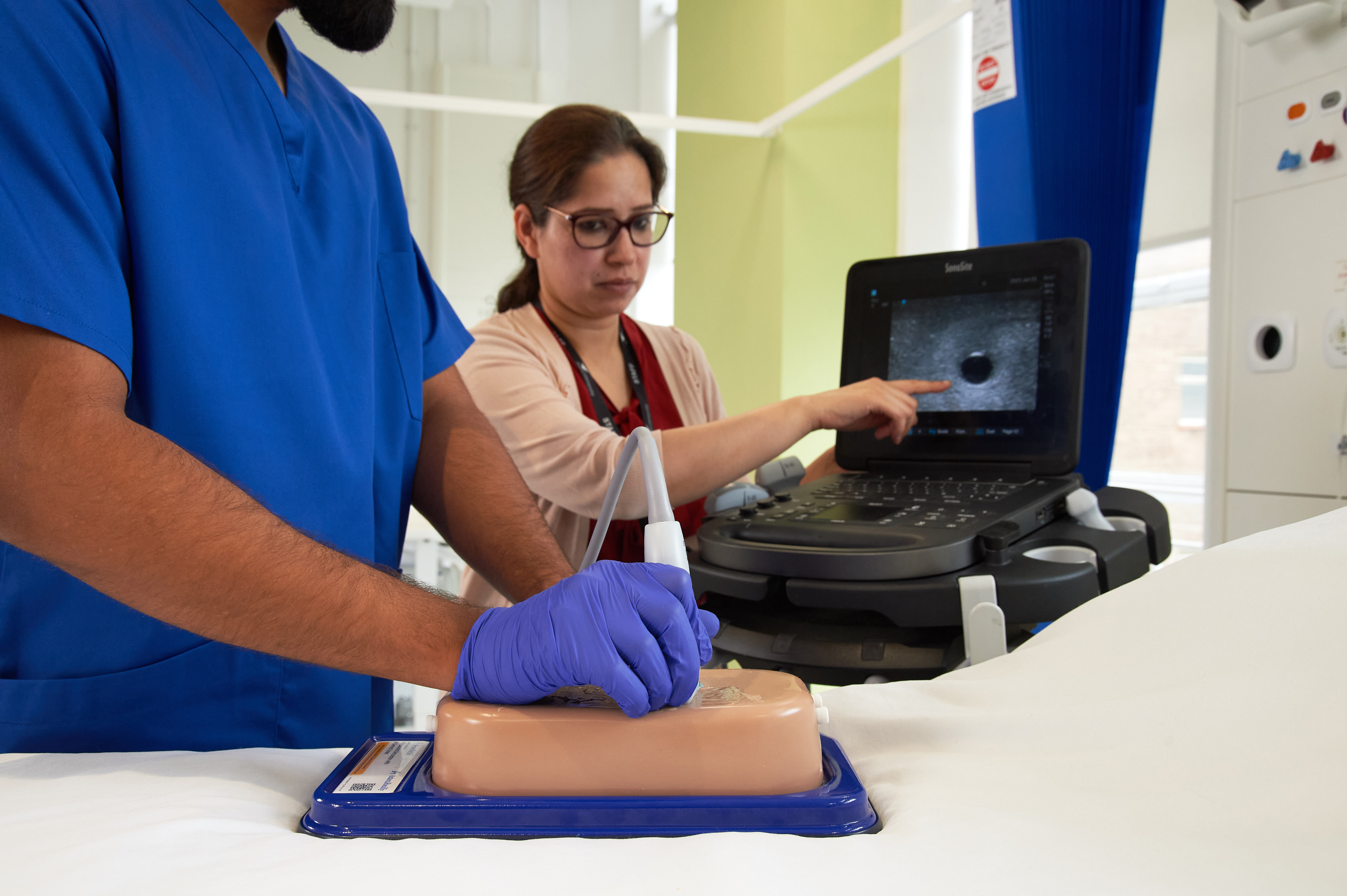 Ultrasound Simulator with 2 Branched Veins, Light