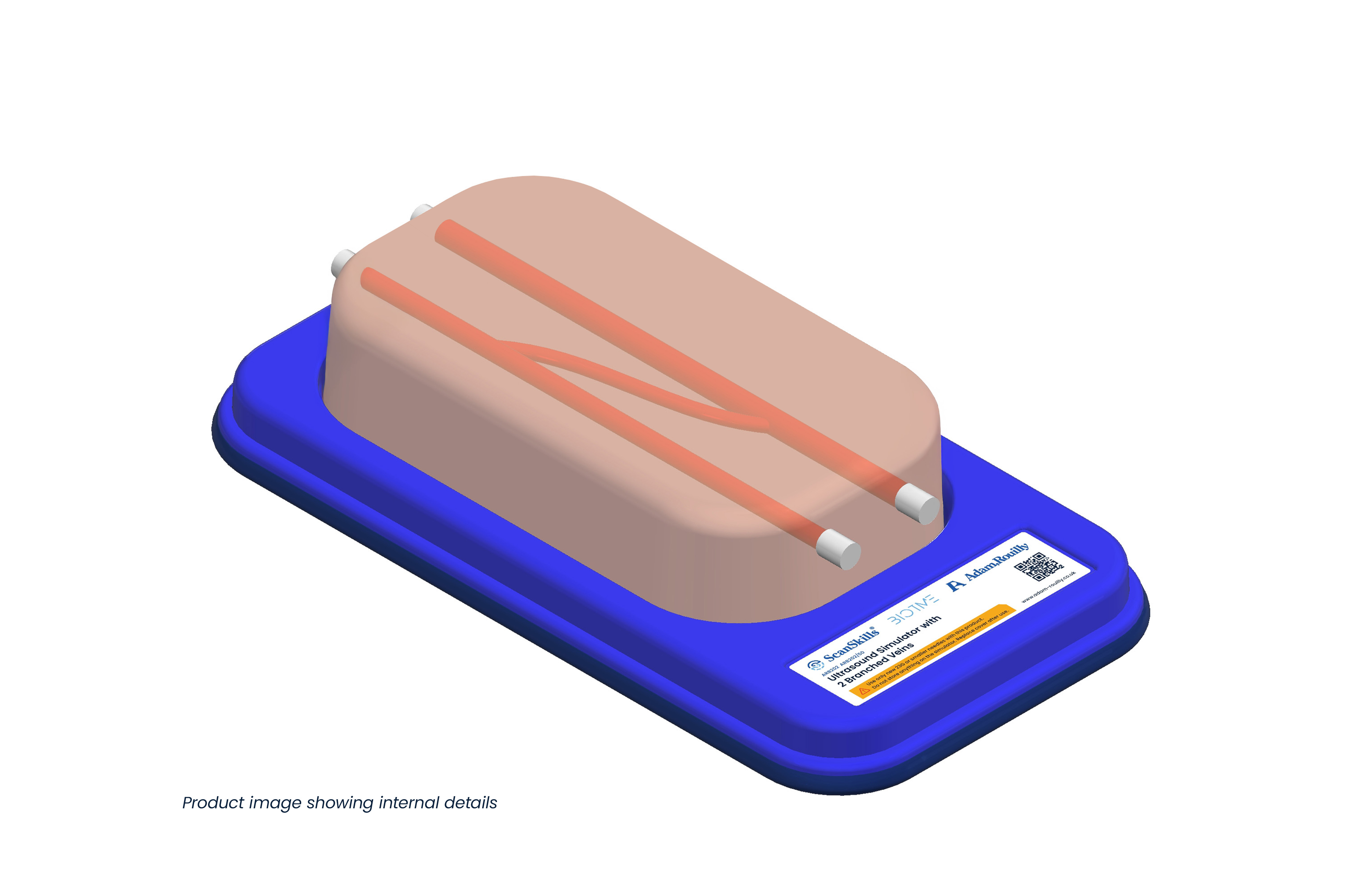 Ultrasound Simulator with 2 Branched Veins, Light