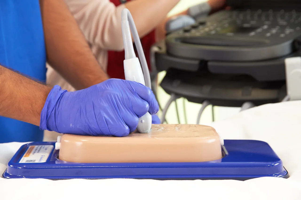 Ultrasound Simulator with 2 Branched Veins, Light