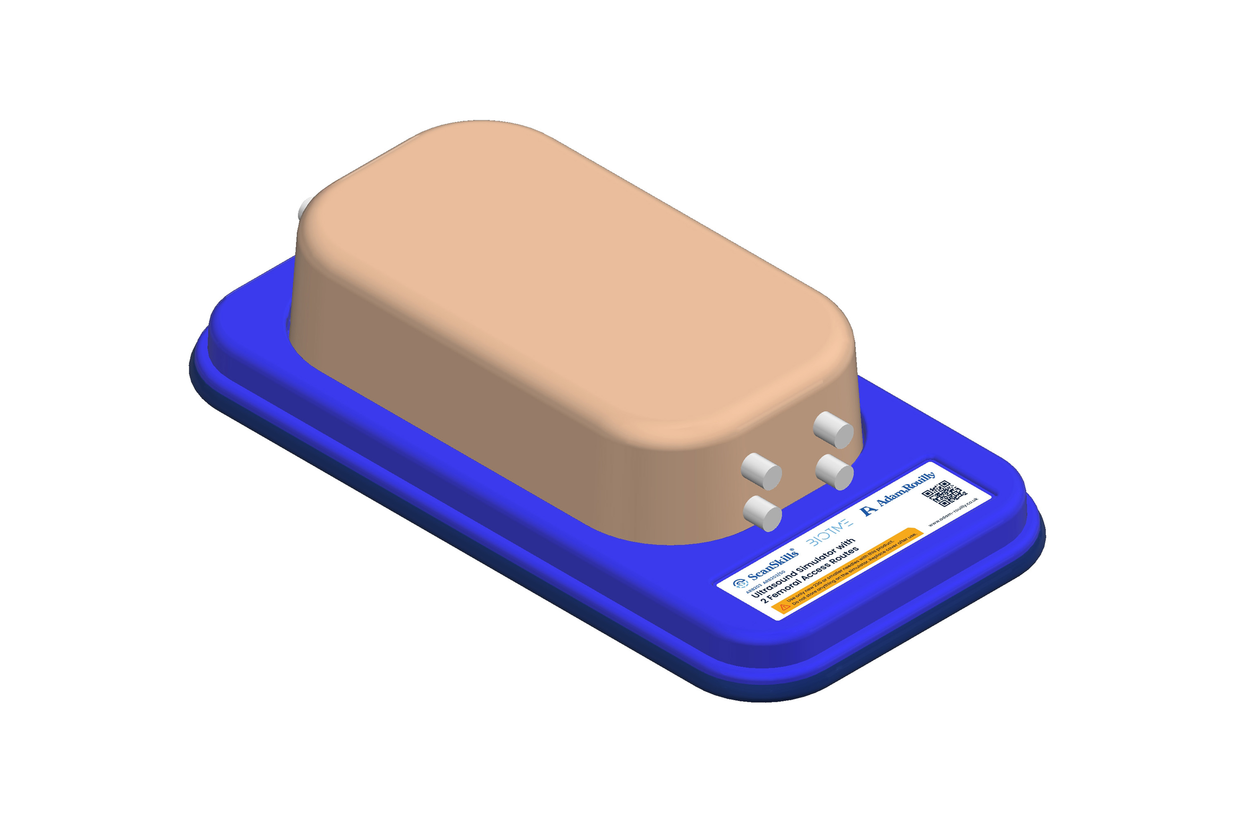 Ultrasound Simulator with 2 Femoral Access Routes, Light