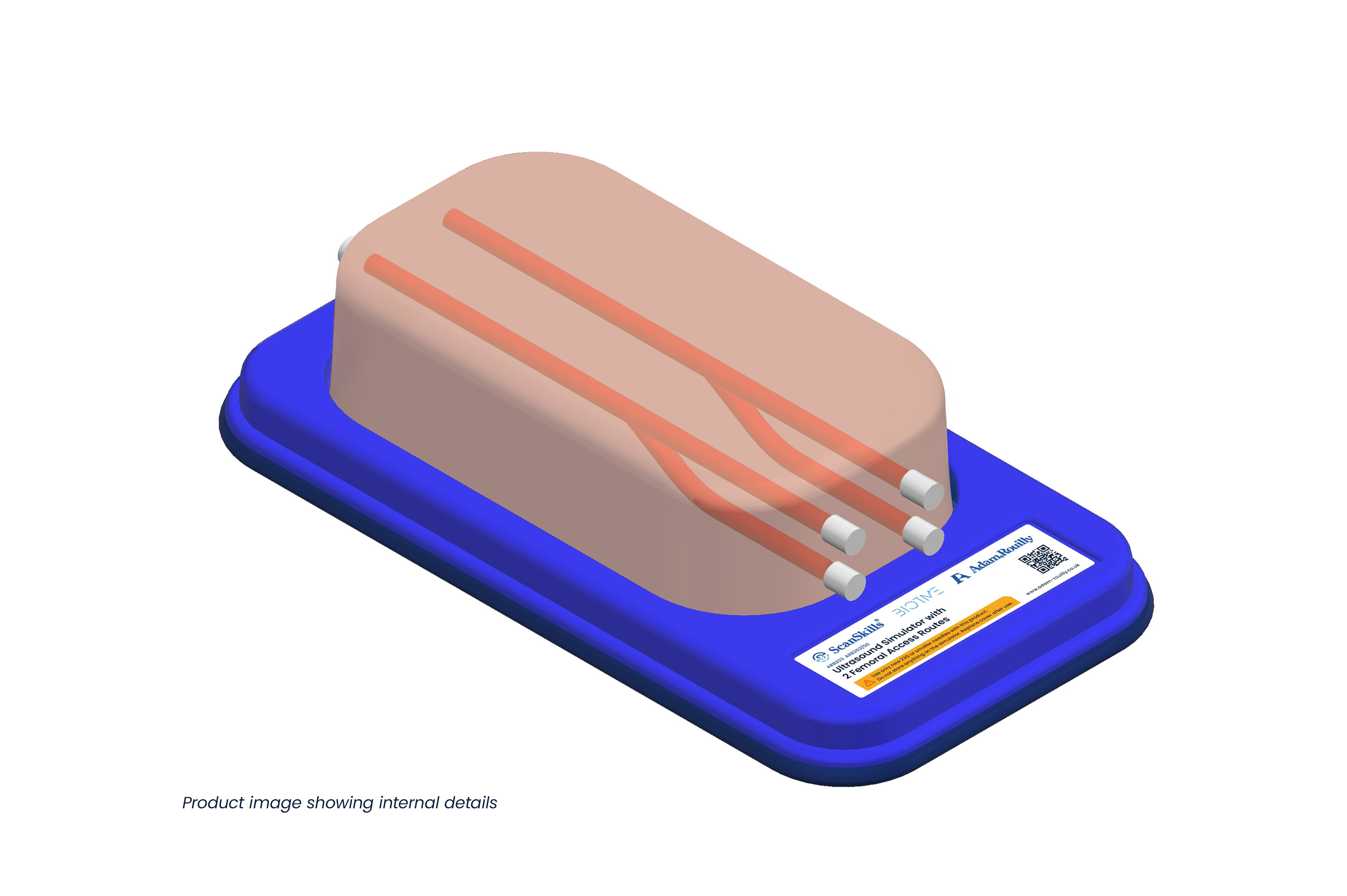 Ultrasound Simulator with 2 Femoral Access Routes, Light