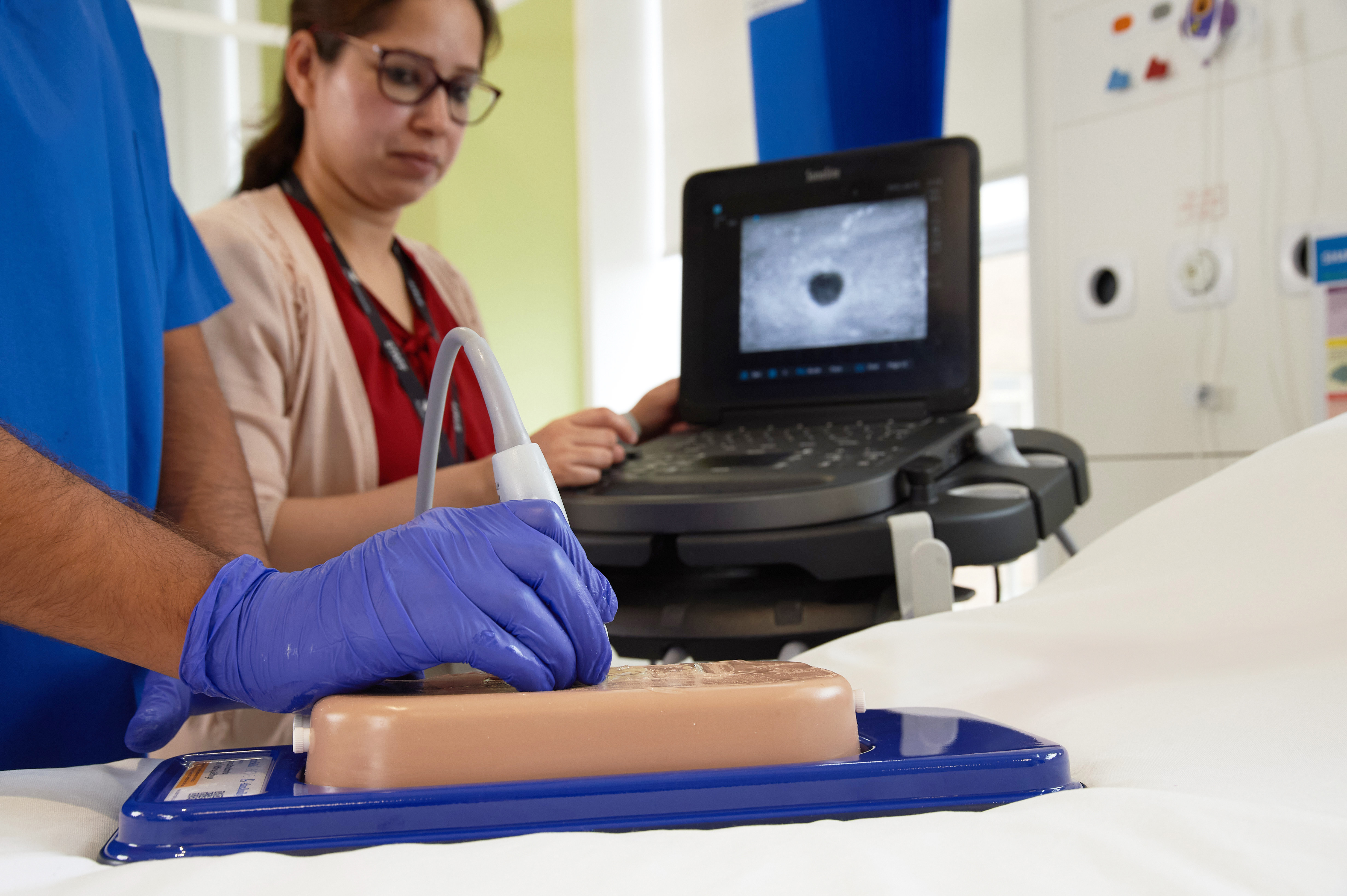 Ultrasound Simulator for Seldinger Technique, Light