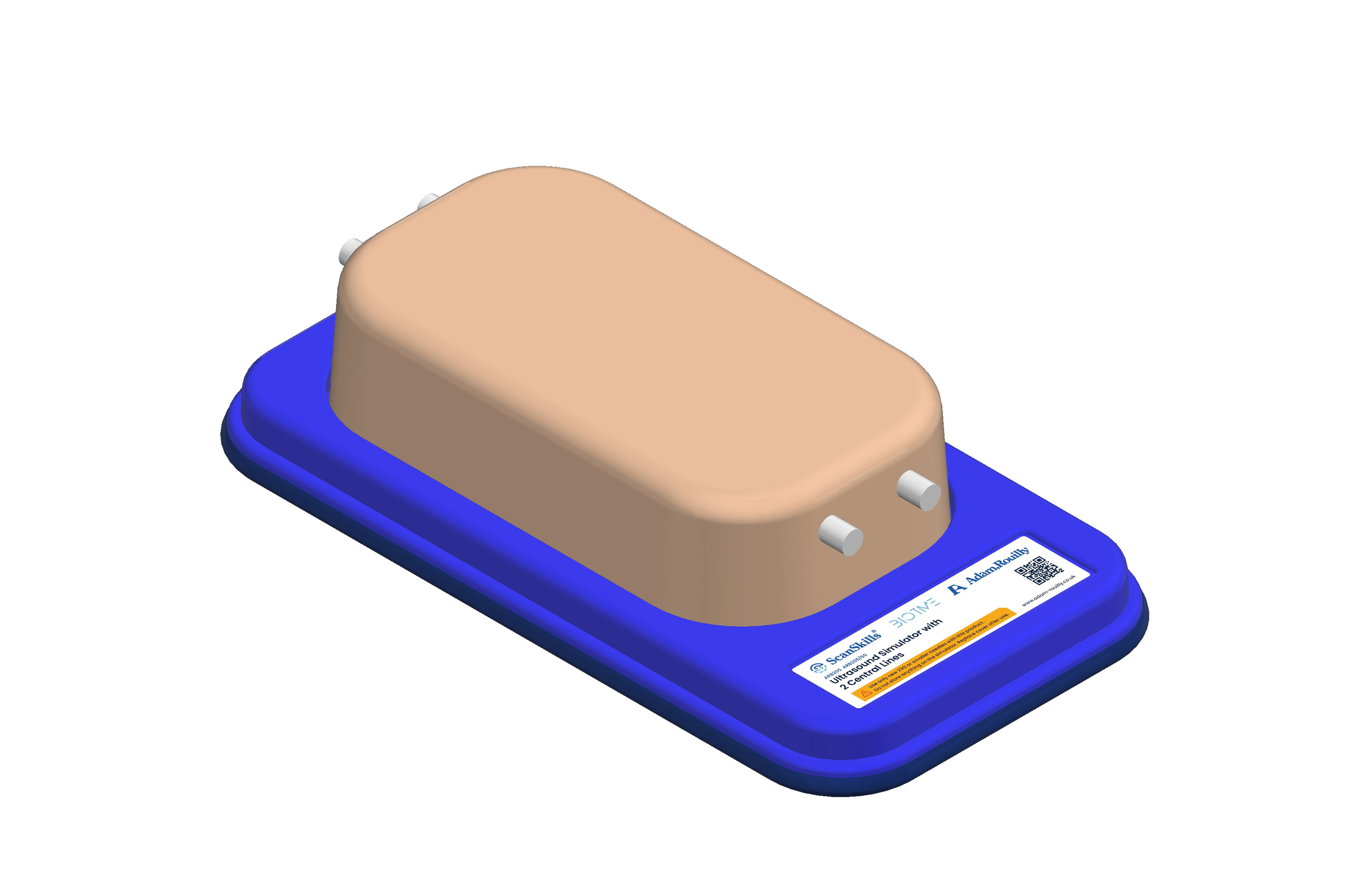 Ultrasound Simulator with 2 Central Lines, Light