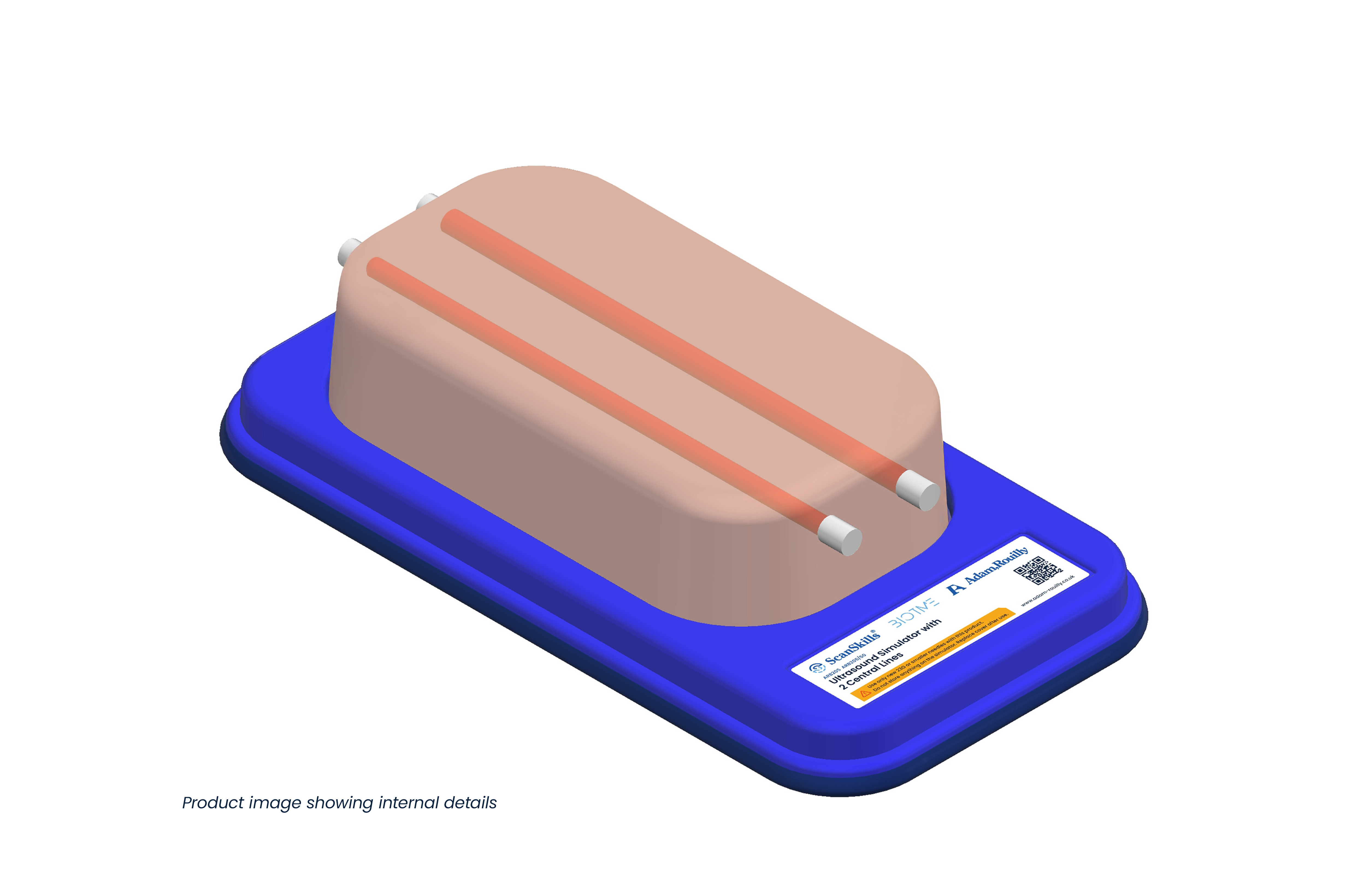 Ultrasound Simulator with 2 Central Lines, Light