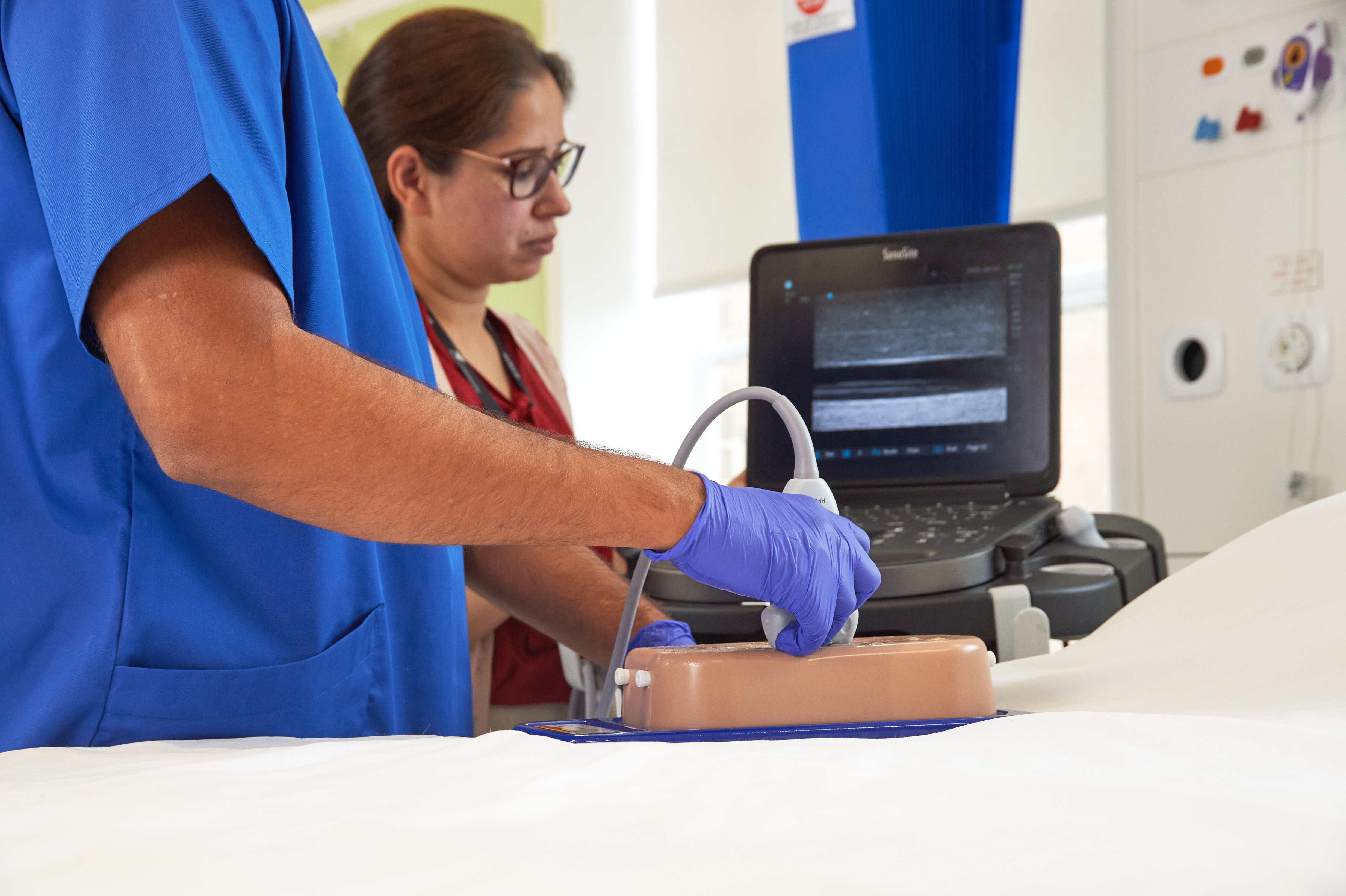 Central Access Ultrasound Simulator with Aneurysms, Light