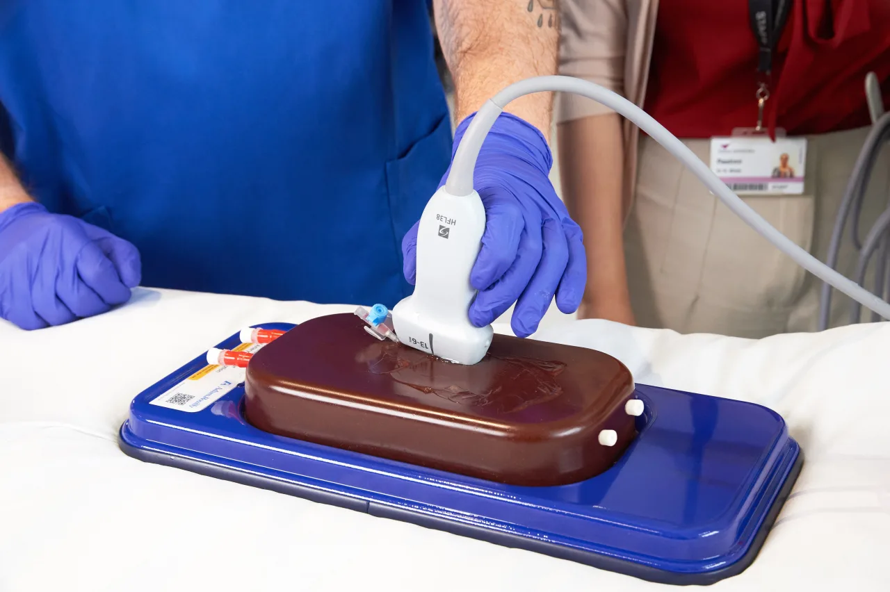 Central Access Ultrasound Simulator with Calcifications, Dark