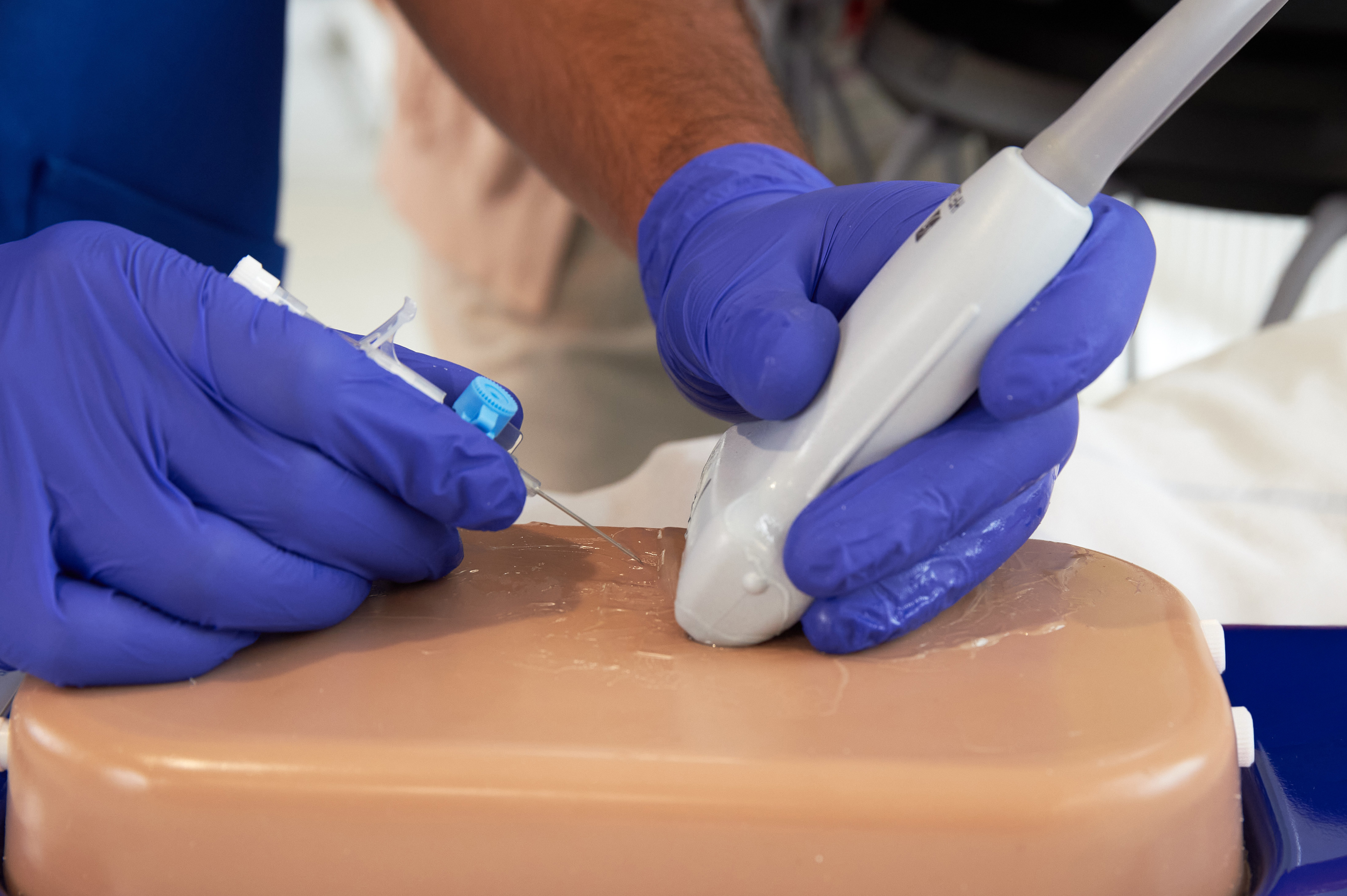 Central Access Ultrasound Simulator with Calcifications, Light